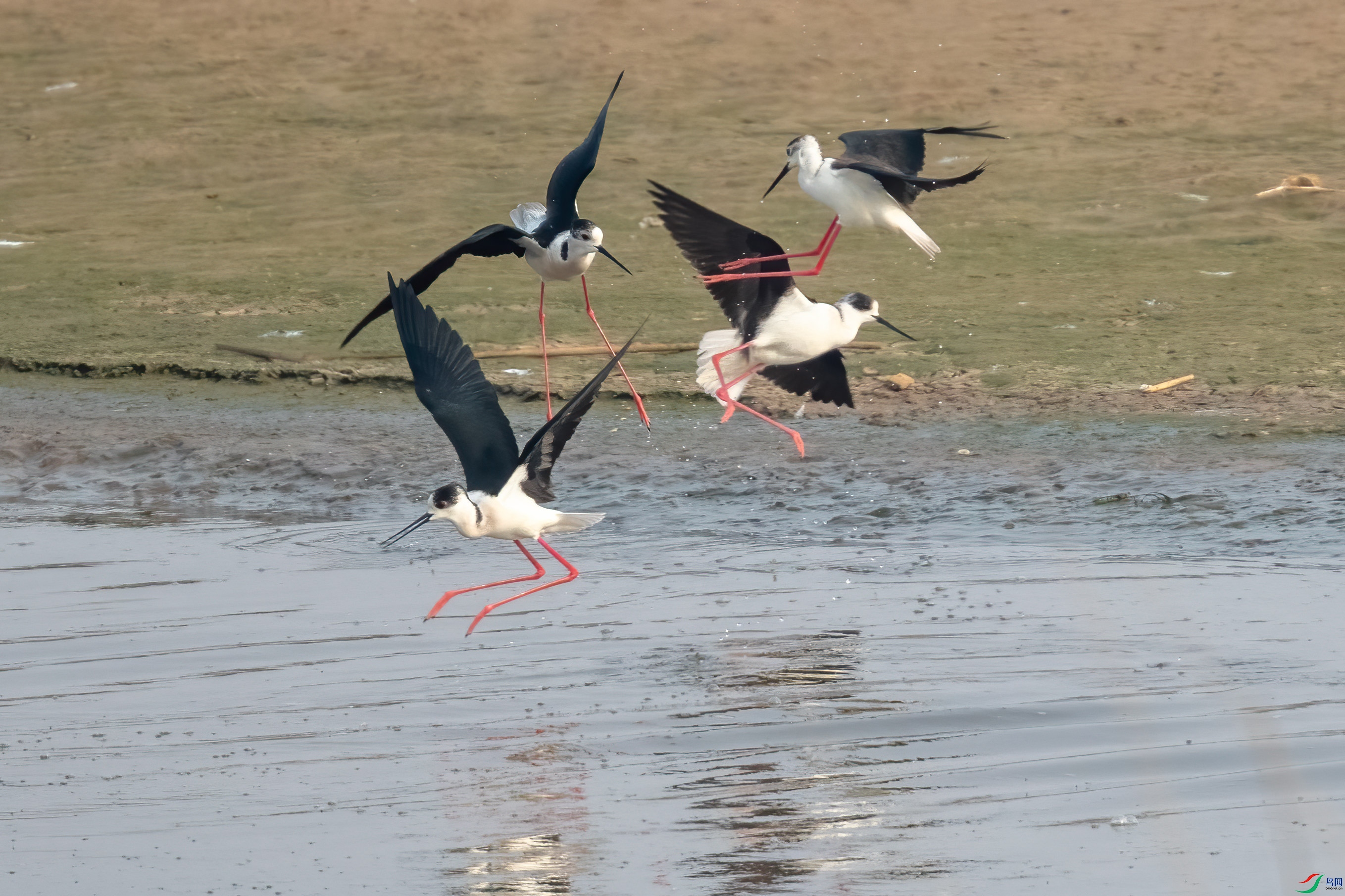 DSC_9871.jpg