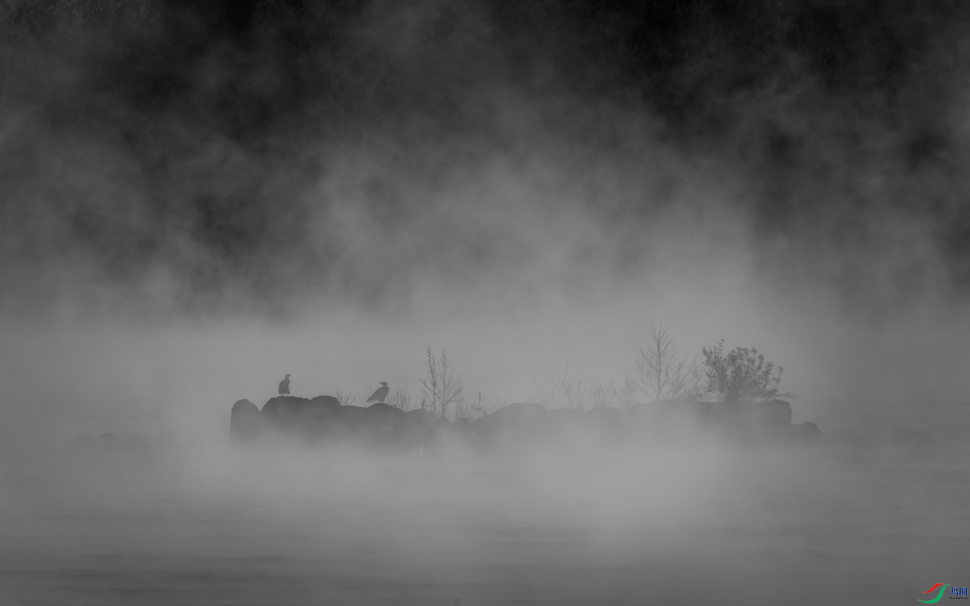 9I6A8149_2.jpg