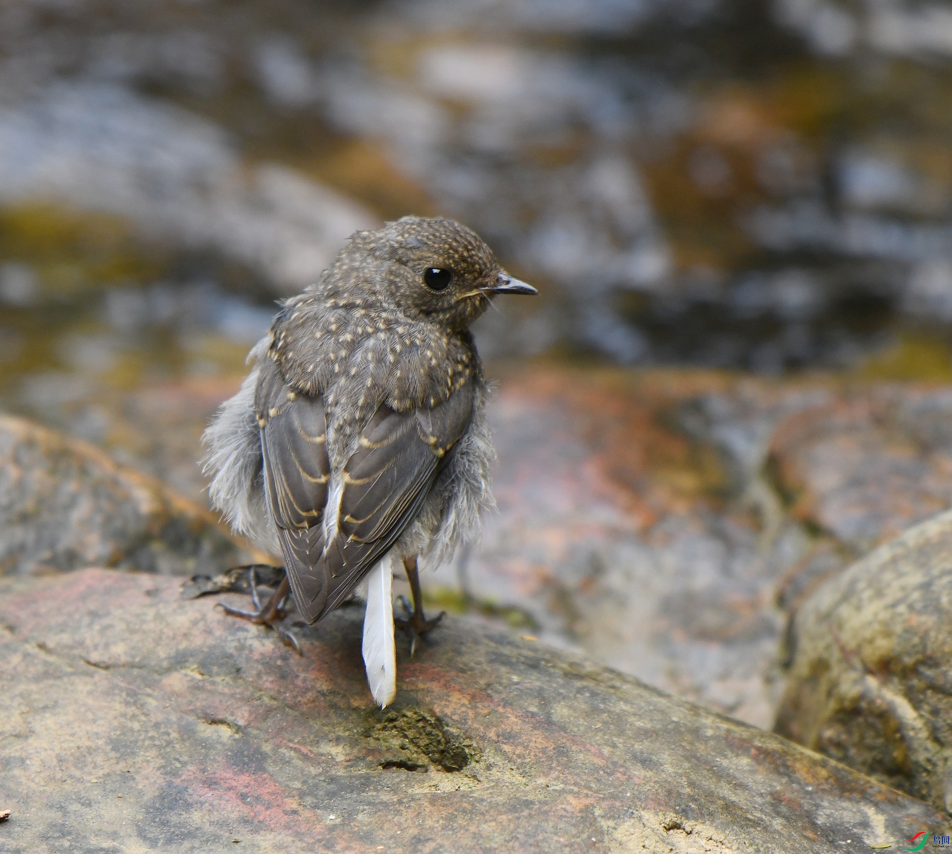 DSC_7200.jpg