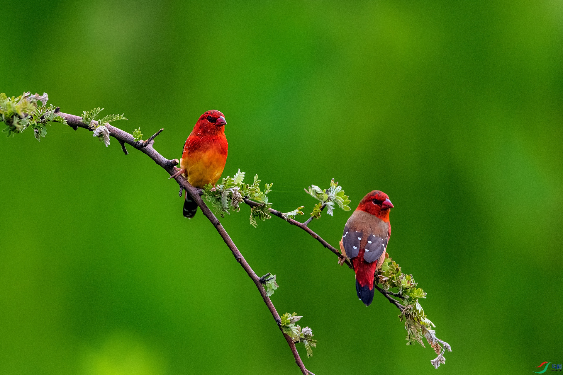 _AUU5447 ��÷��ȸ(25.7.7).jpg