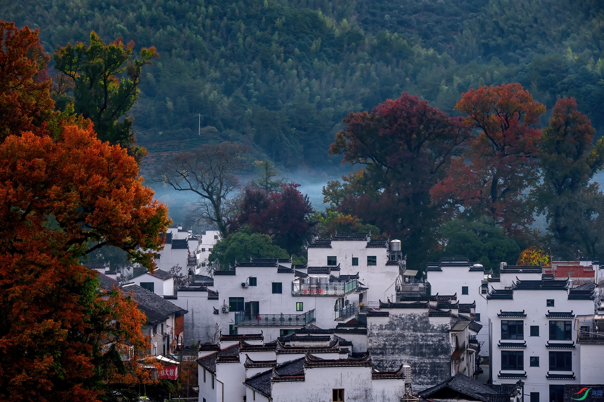 DSC_7687 - ��ɫ.jpg