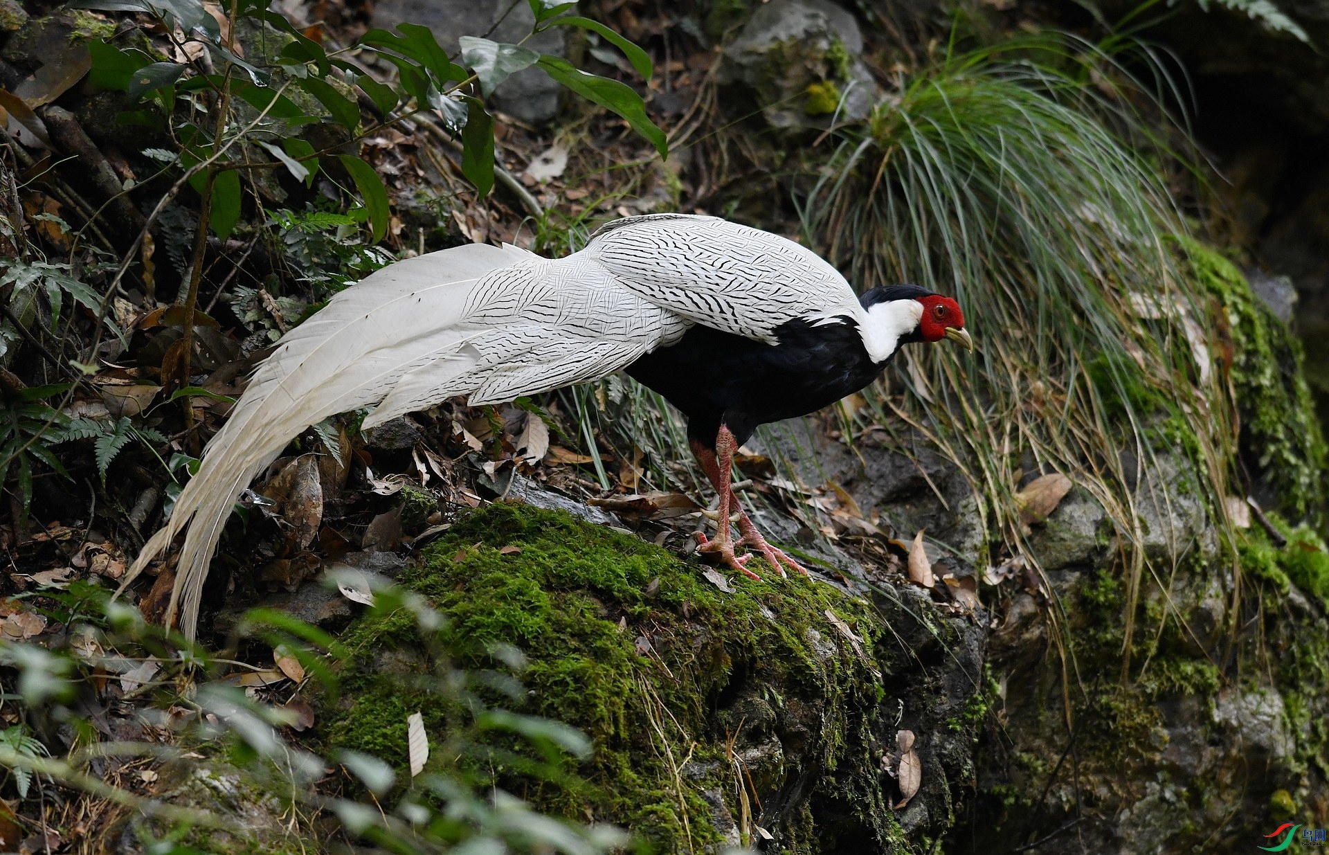 DSC_8375.jpg