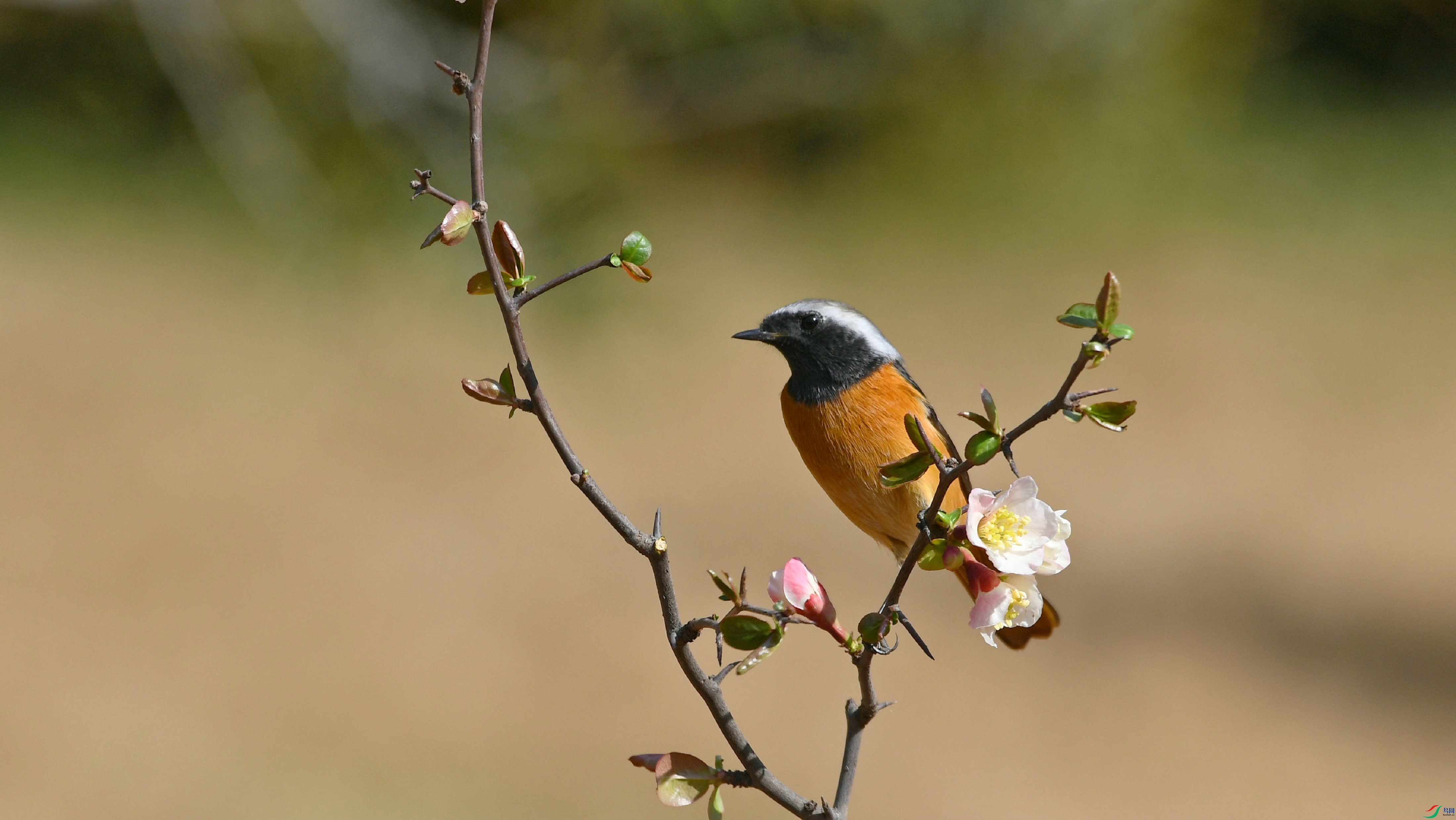 DSC_6492.JPG