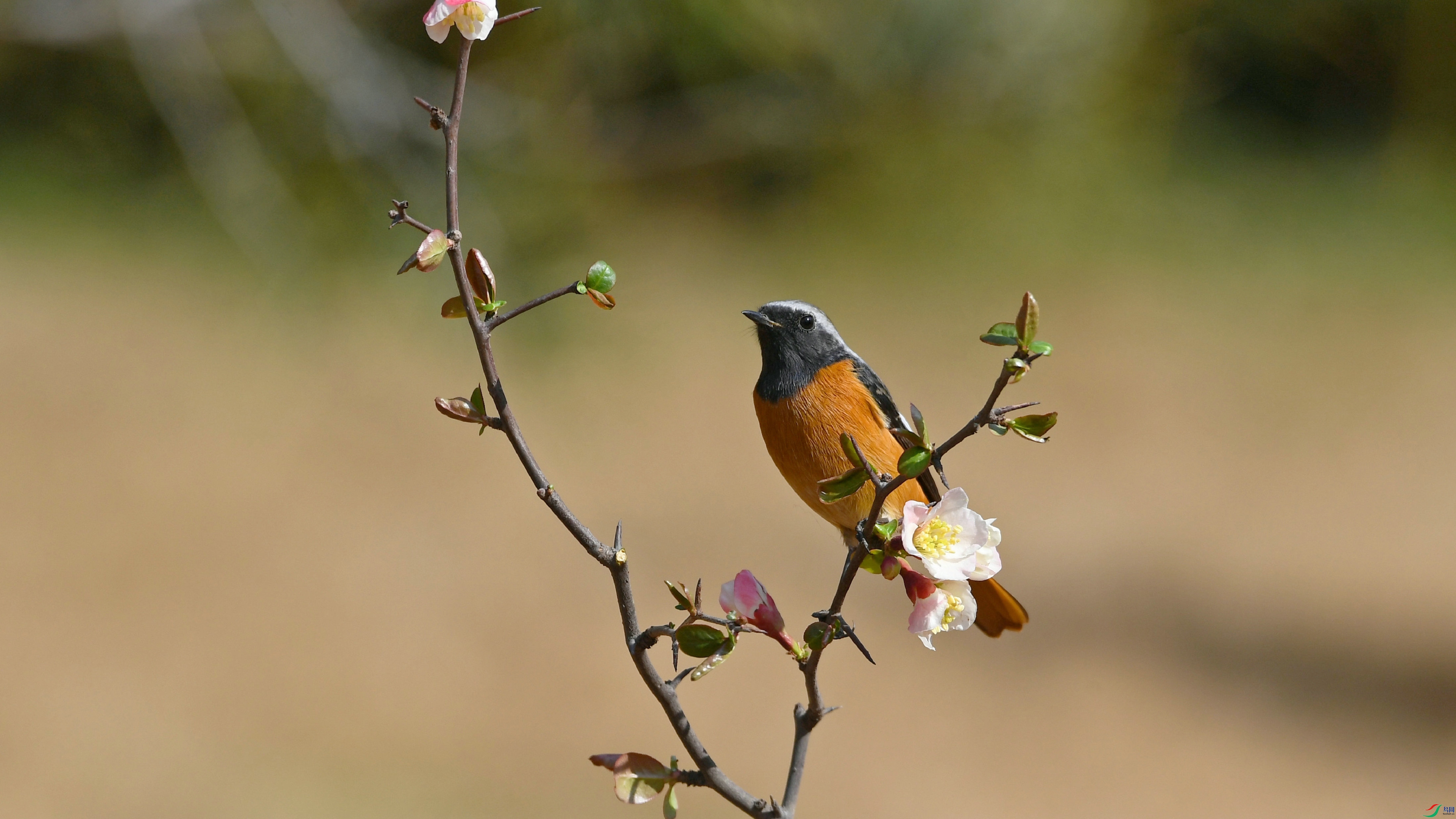 DSC_6489.JPG