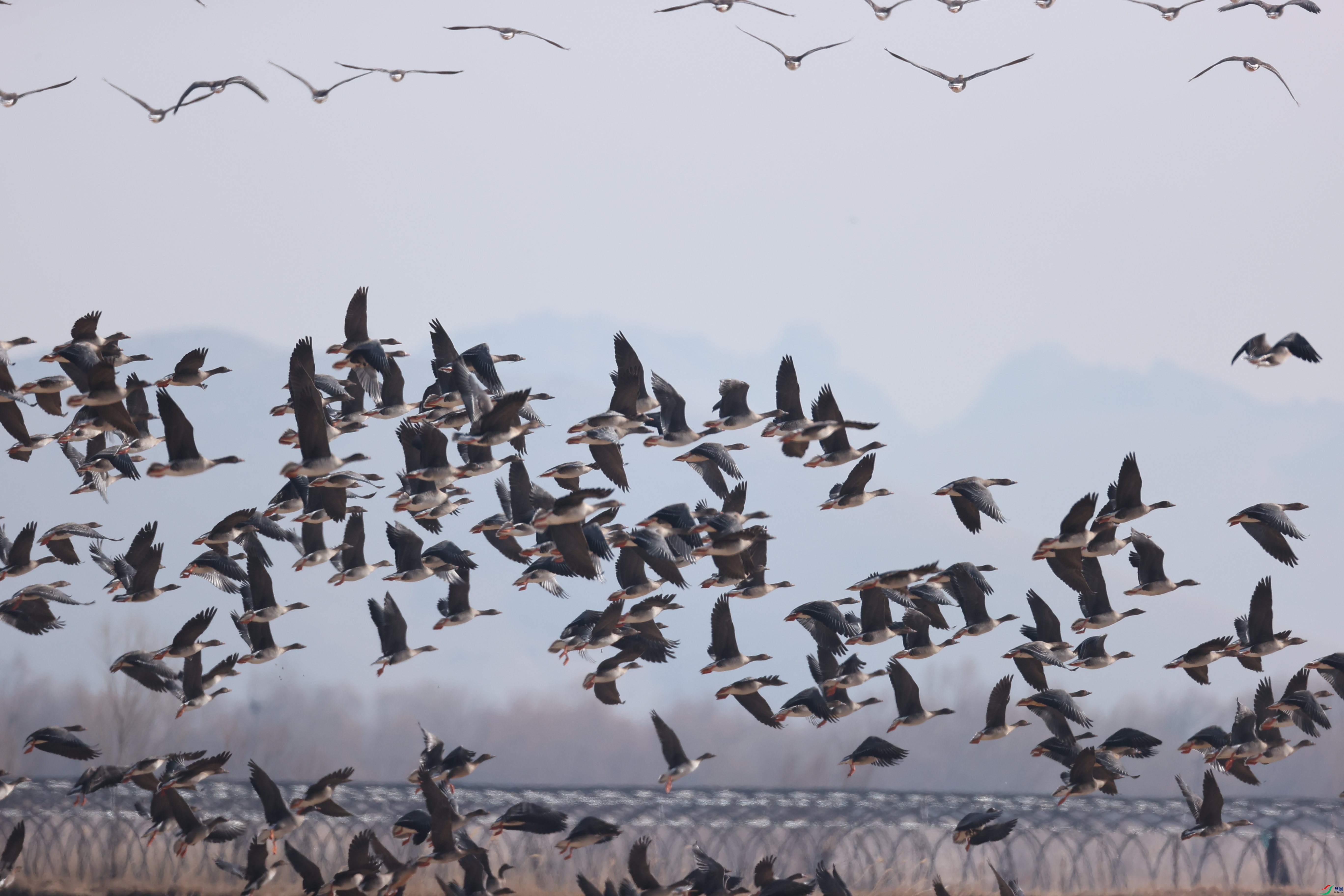 ����18