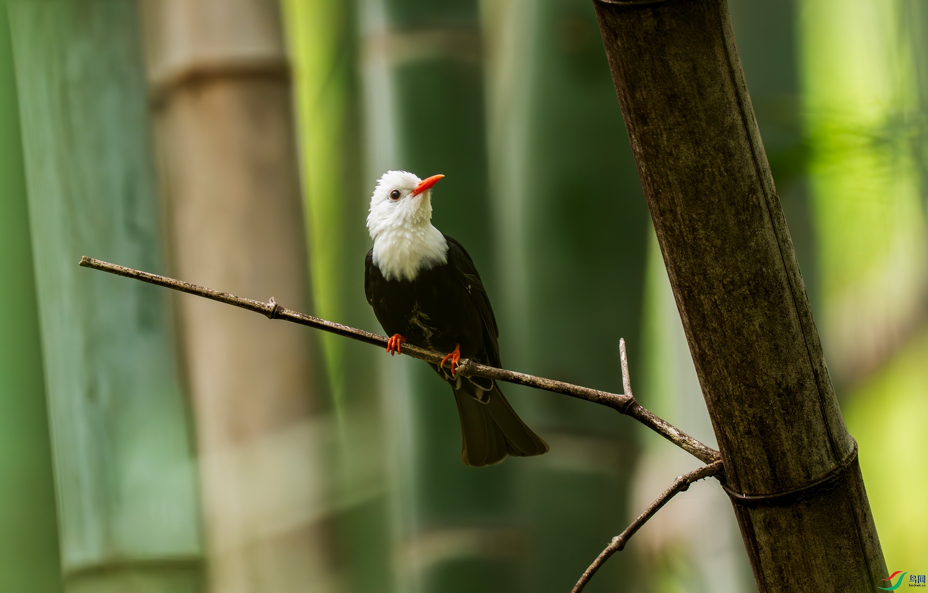 DSC_6013.jpg