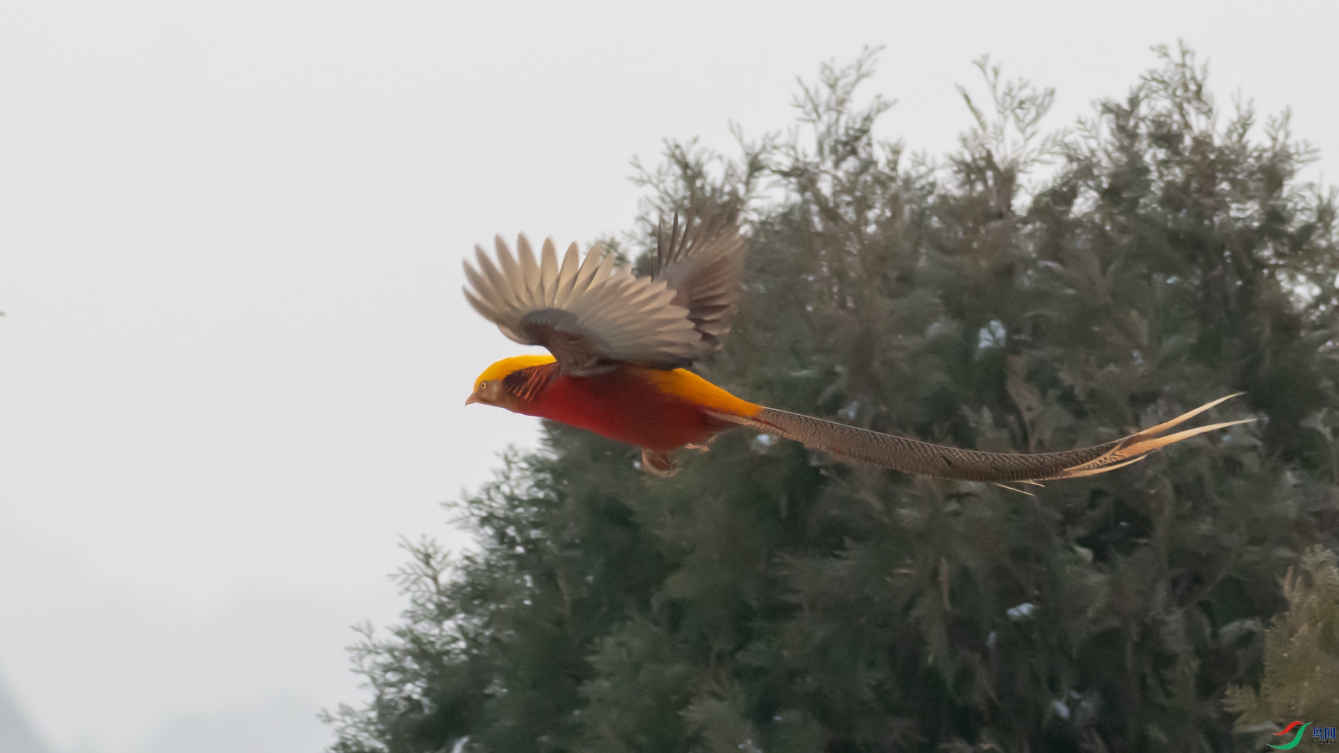 DSC_6249.jpg