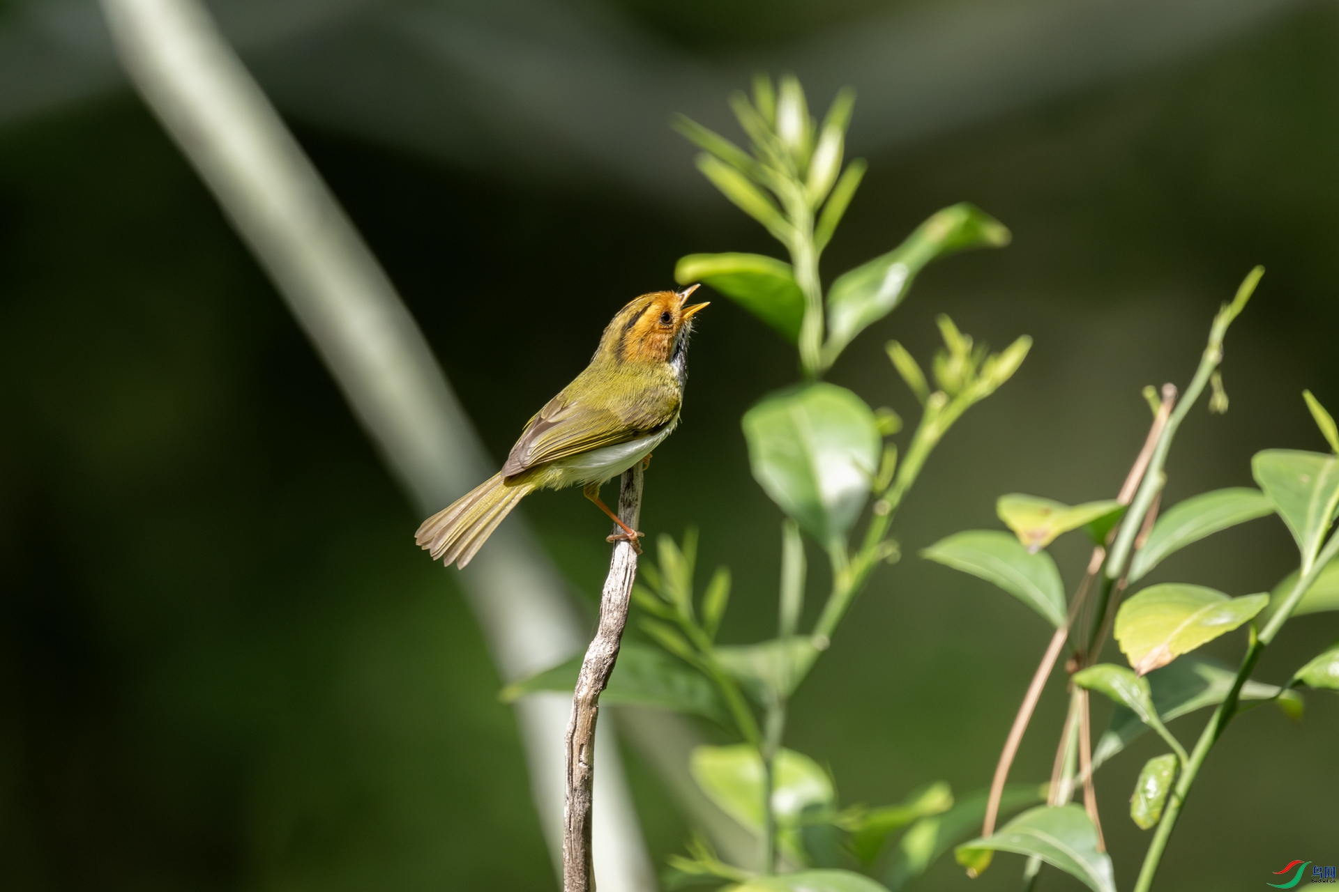 DSC_3757.jpg