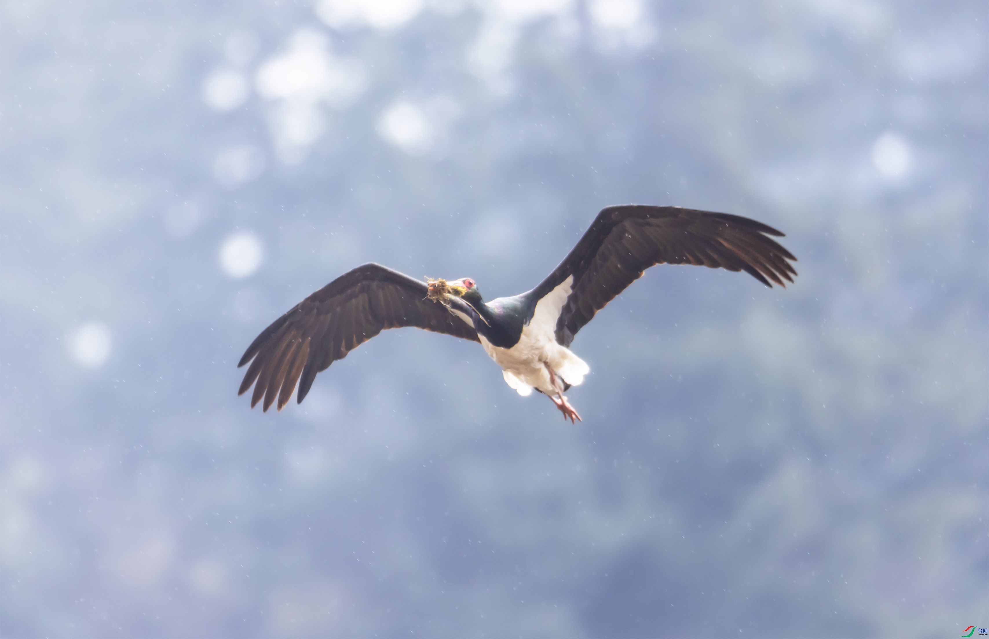 4K2A0080 ����OK.jpg