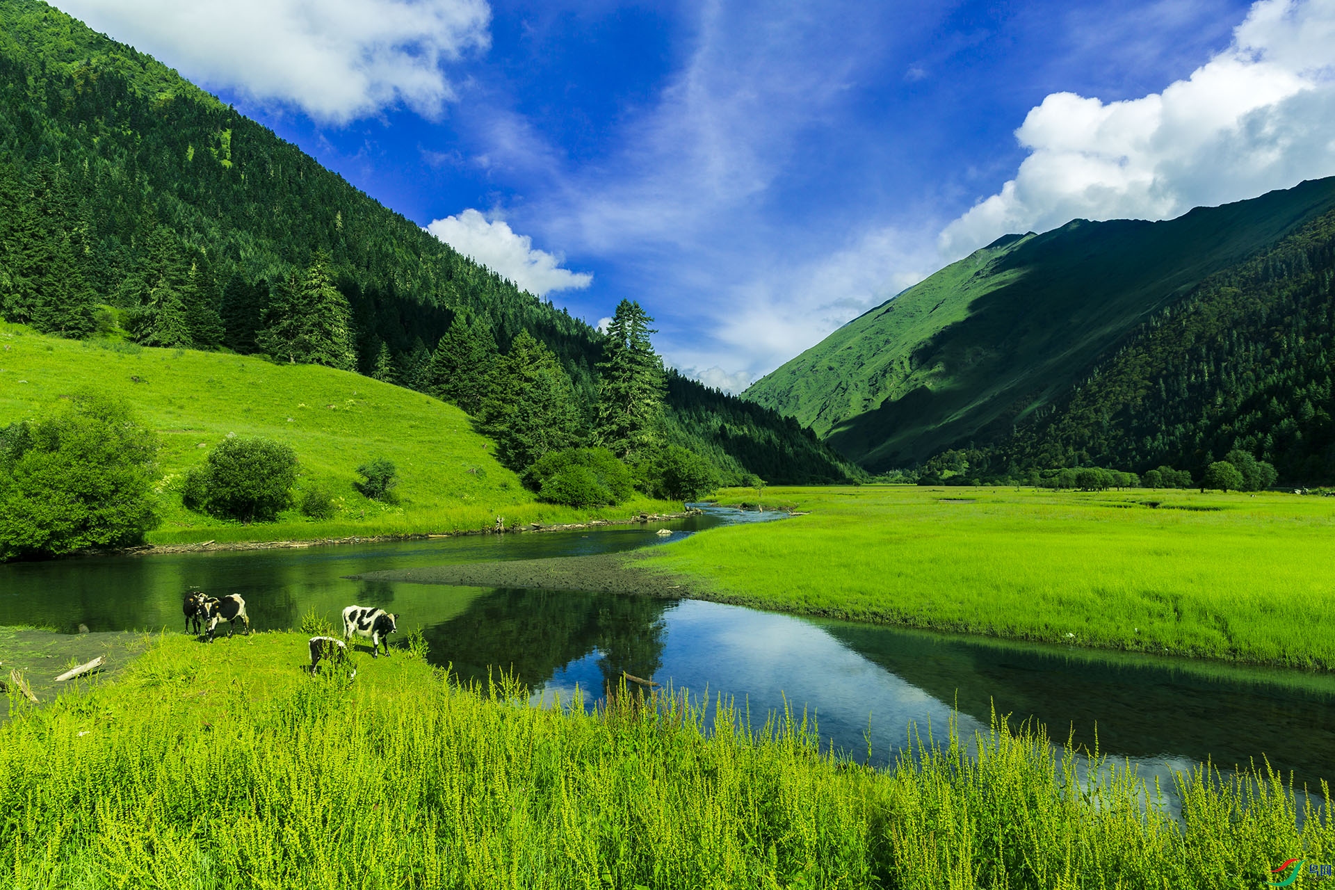 1J9A1077 ����.jpg