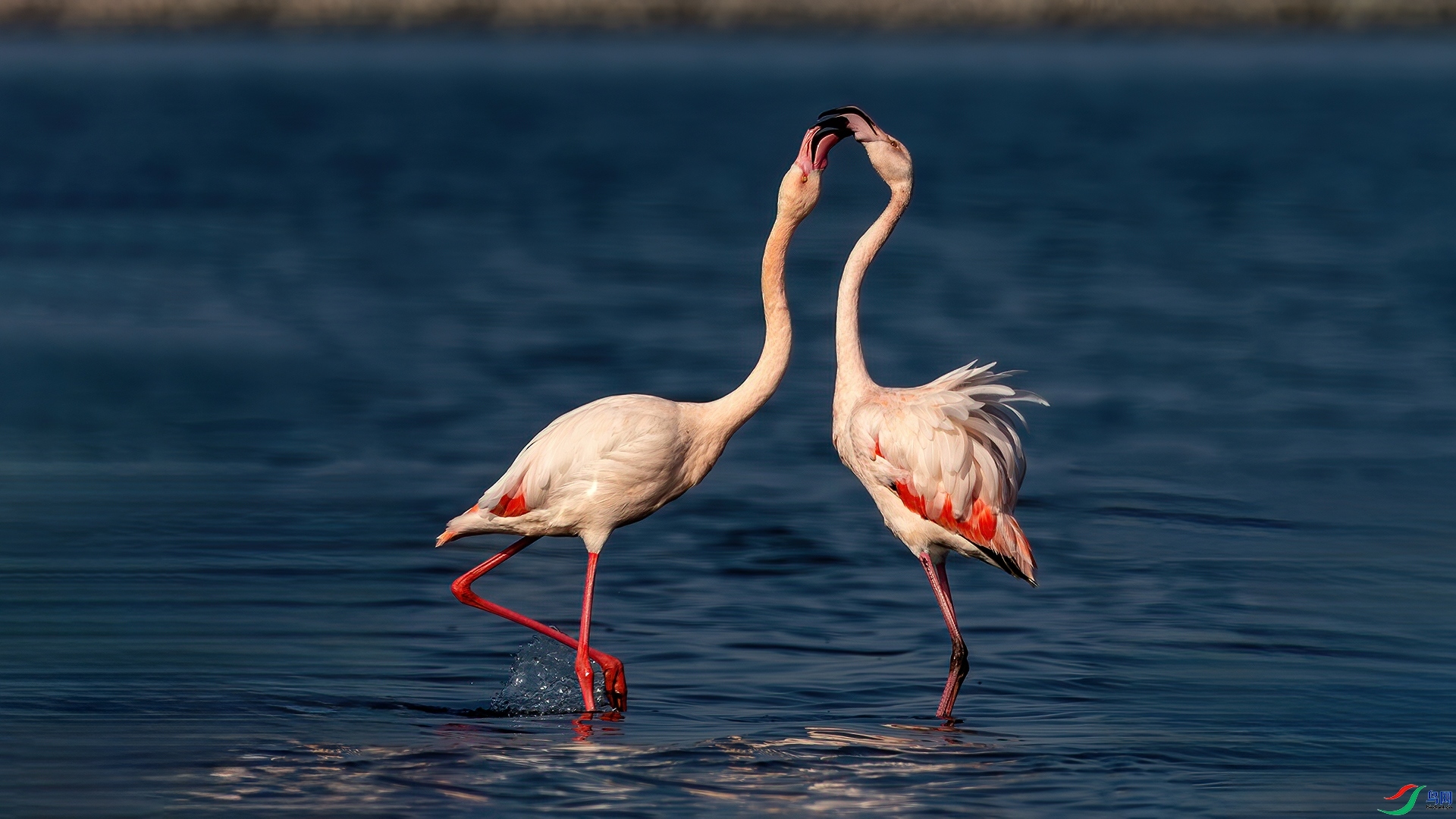 4.15 ɽ��ˮ����ʦ��Ʒ  �����మ  �ٻ�2026��4��15�հ�����ҳ����.jpg