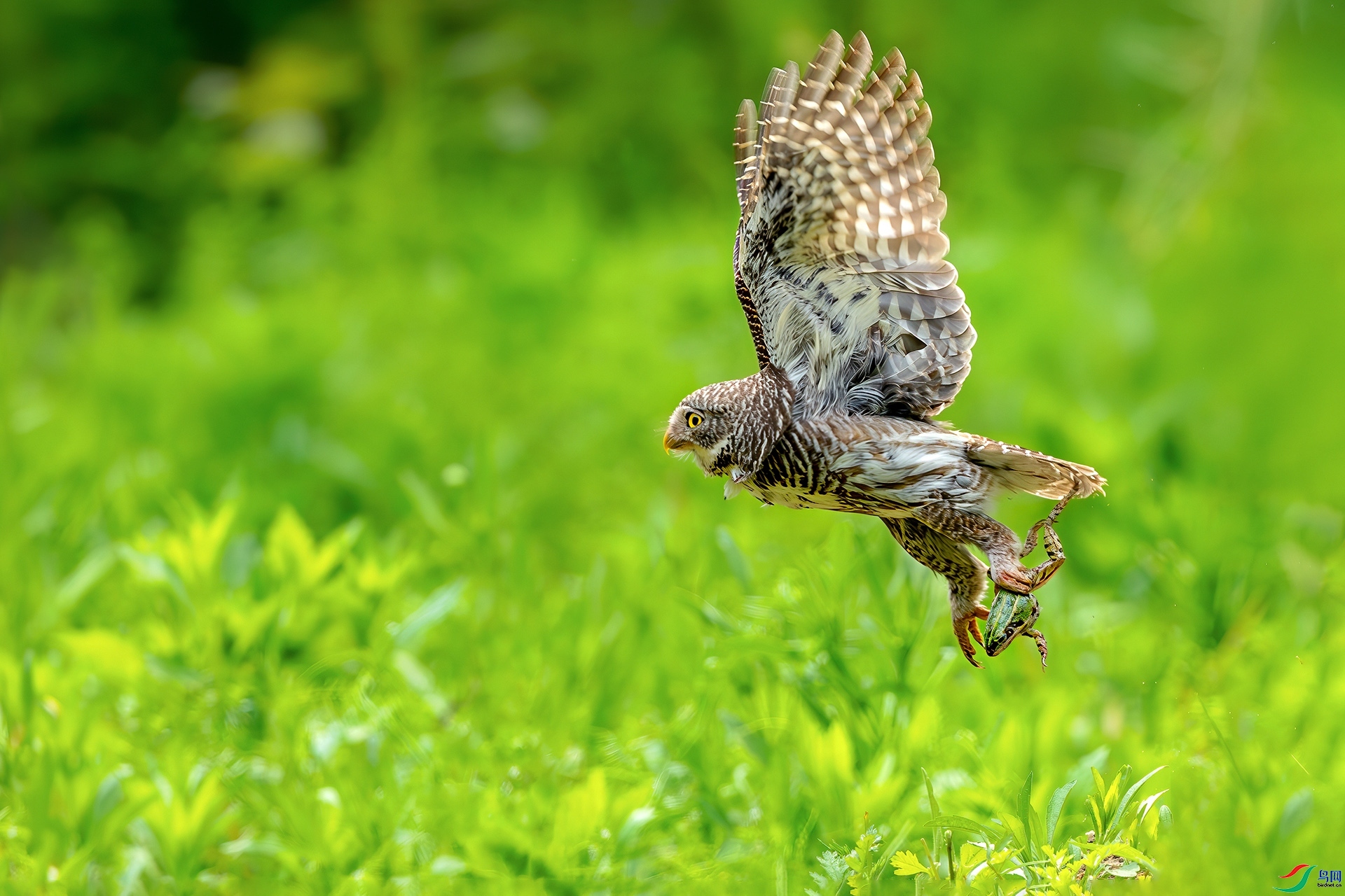 4.20 �ɵ���ʦ��Ʒ  ��Ұ����  �ٻ�2026��4��20����Ӱʦ��ҳ����.jpg