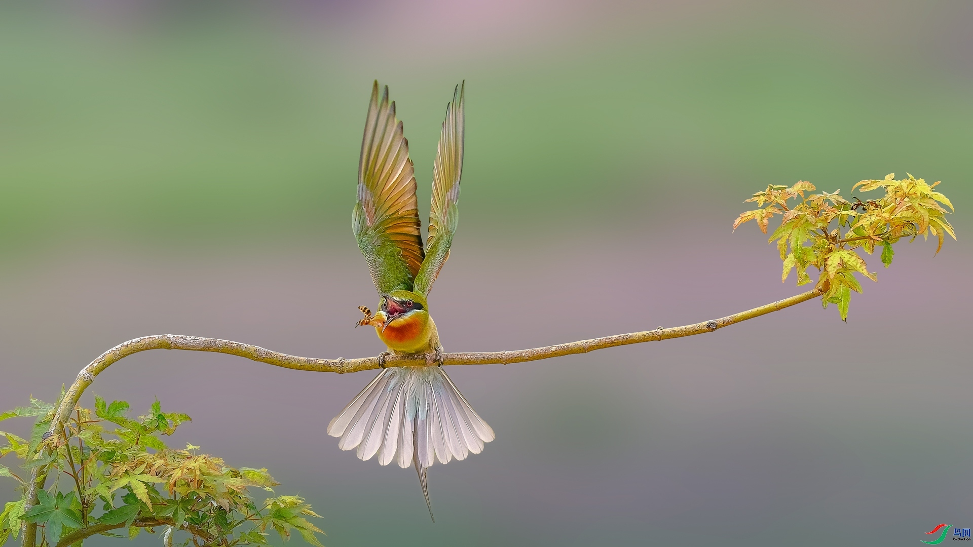 4.20 ��ƽ@��ʦ��Ʒ  ��ζ  �ٻ�2026��4��20��ÿ�ռ���.jpg