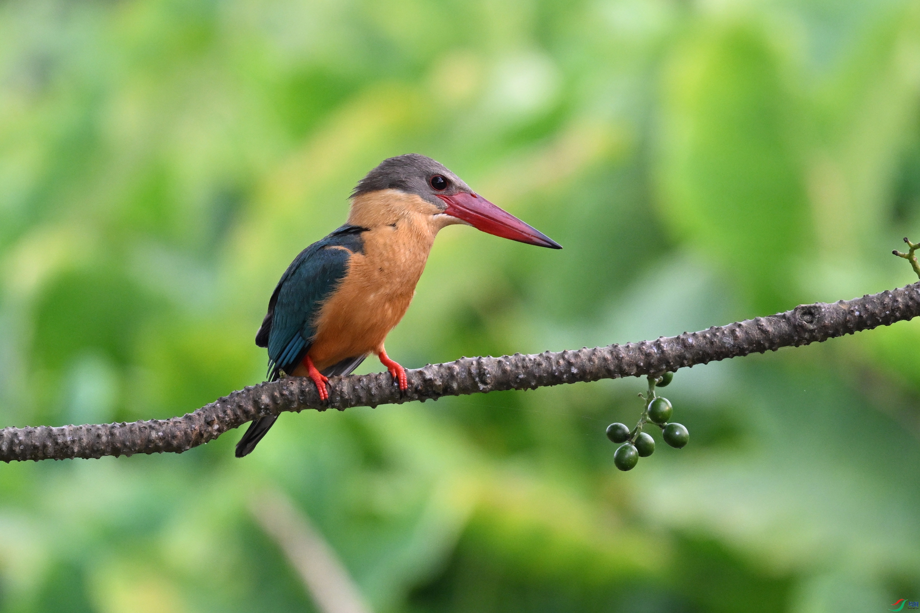 DSC_3834.JPG