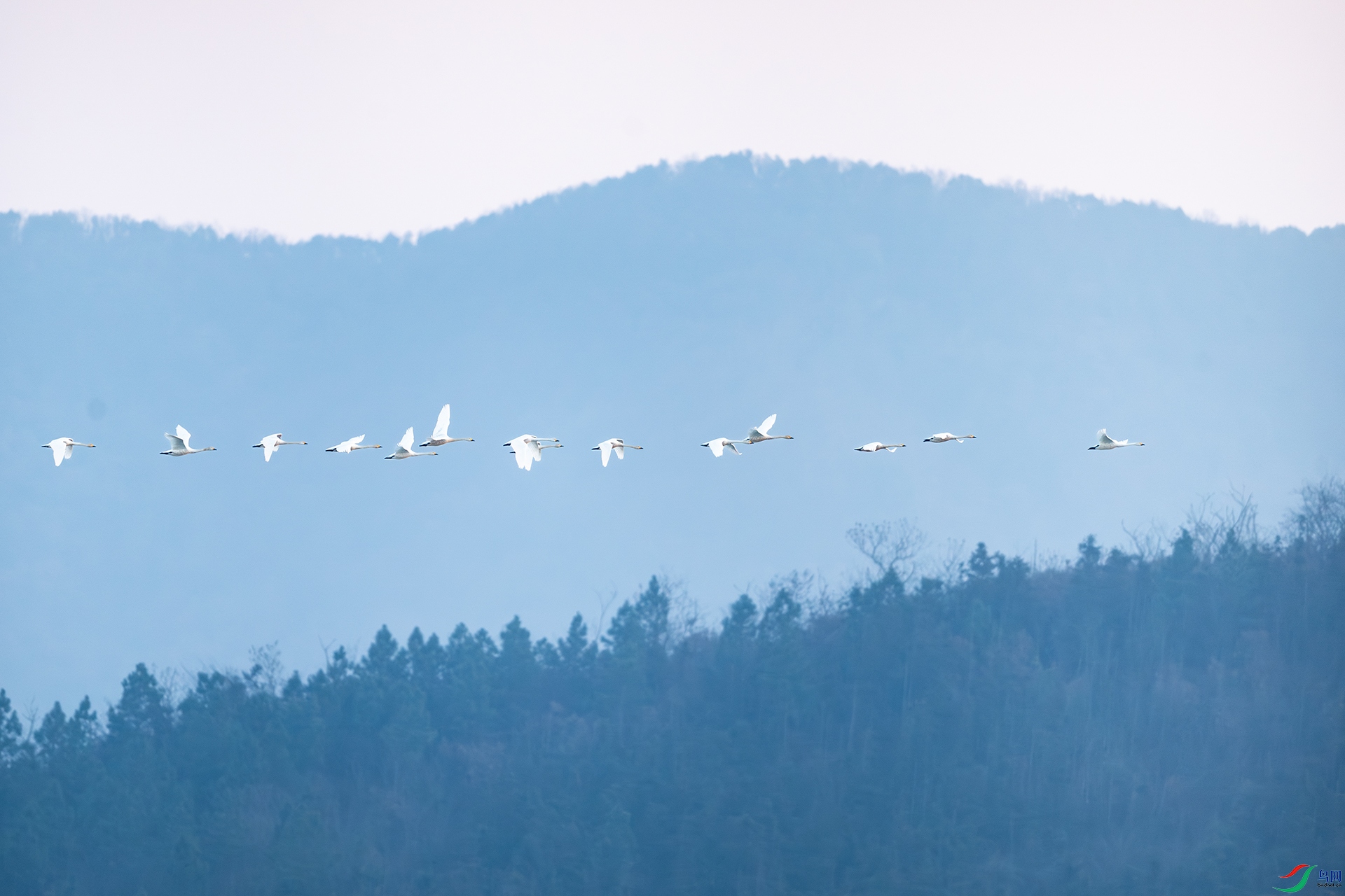 DSC_7166.jpg