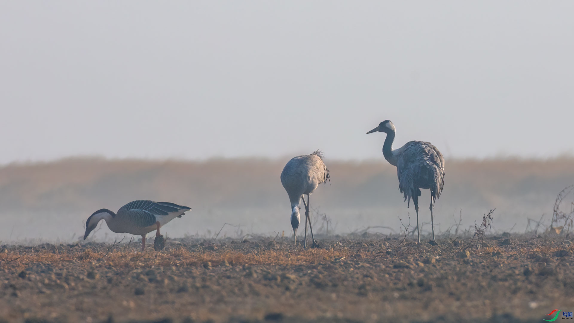0L7A5628.jpg
