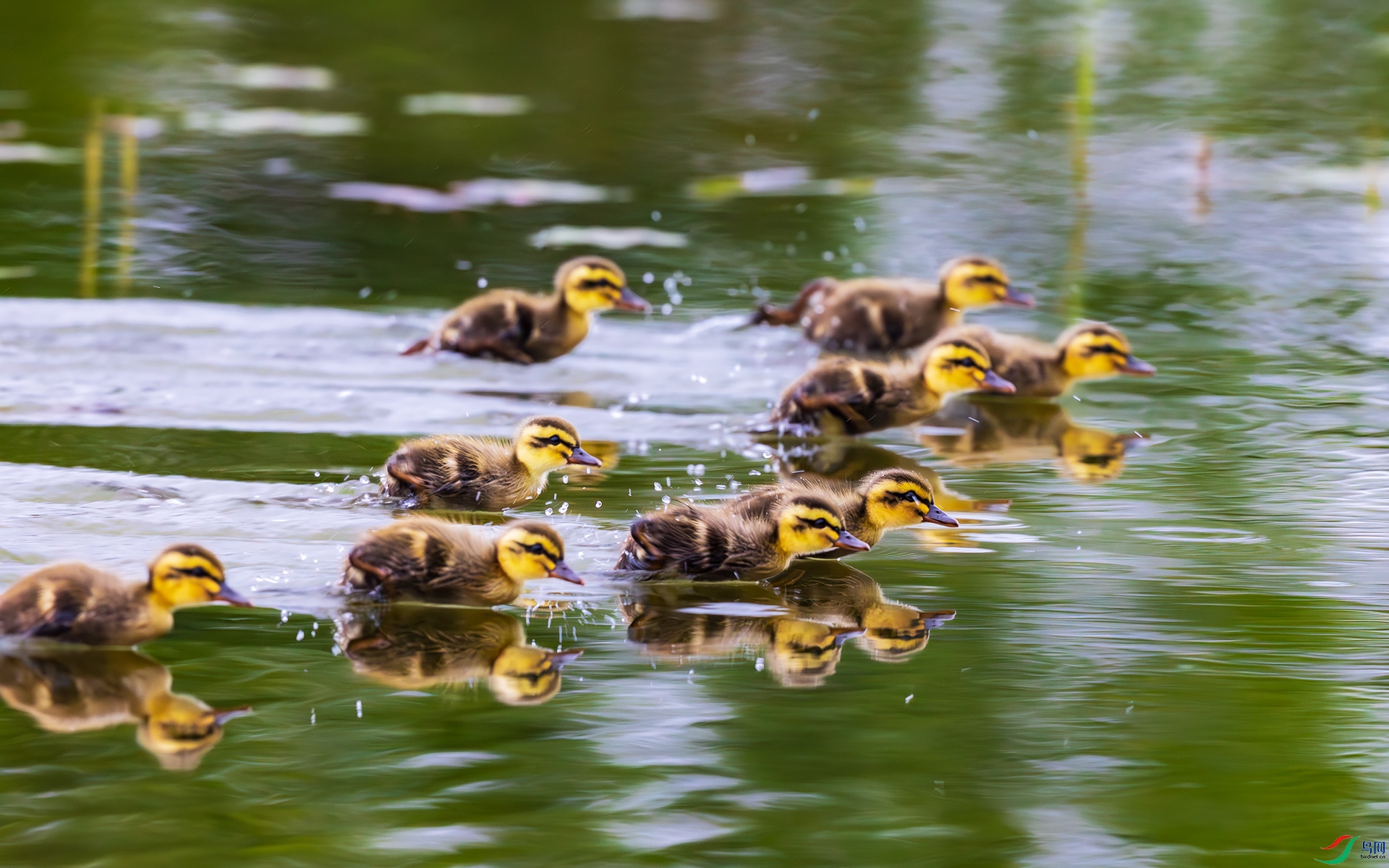 _F9A1564 ����.jpg