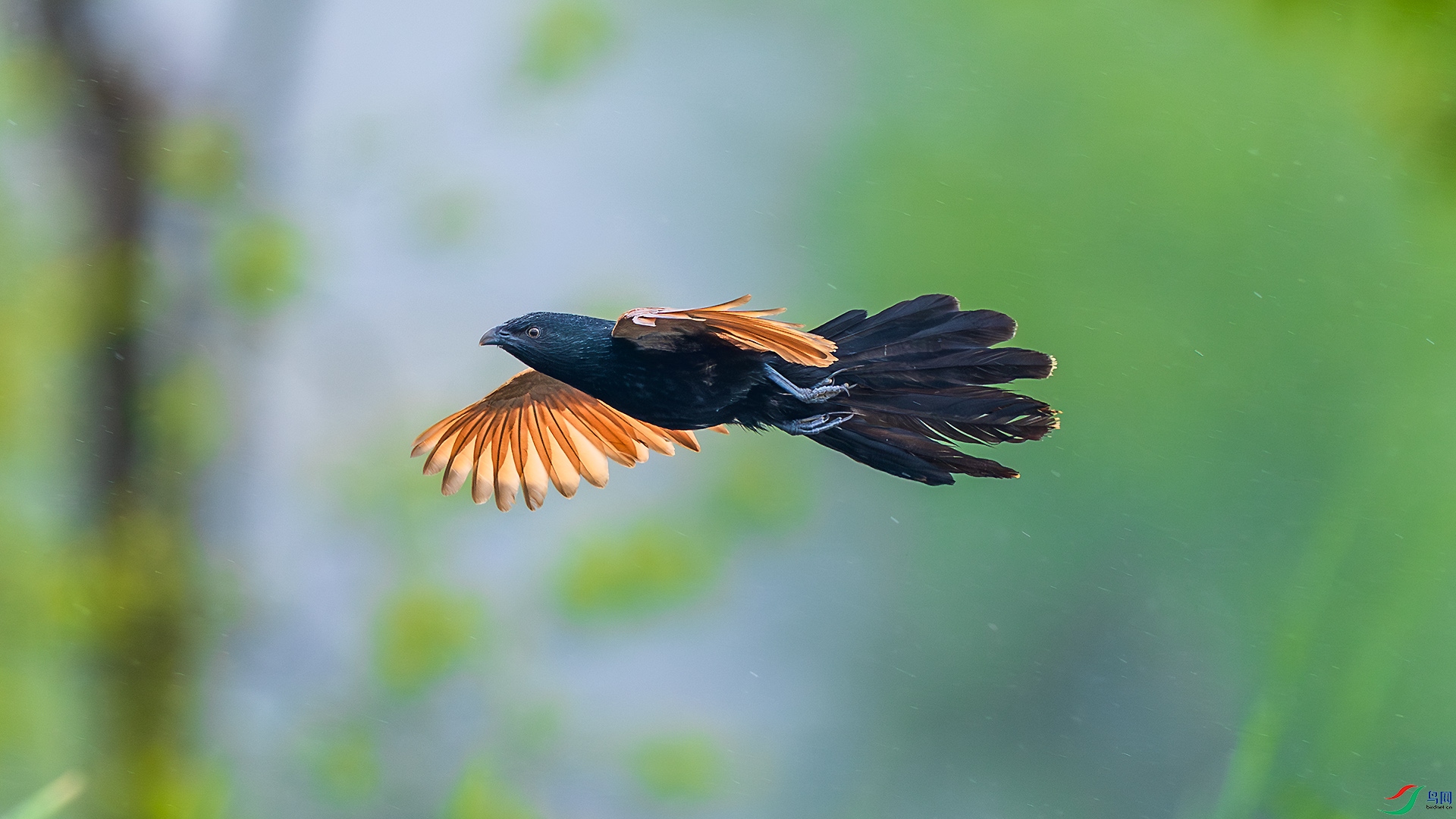 _F9A0852 ����.jpg