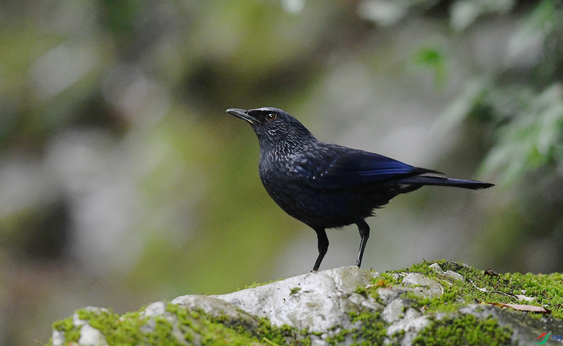 DSC_1058.jpg