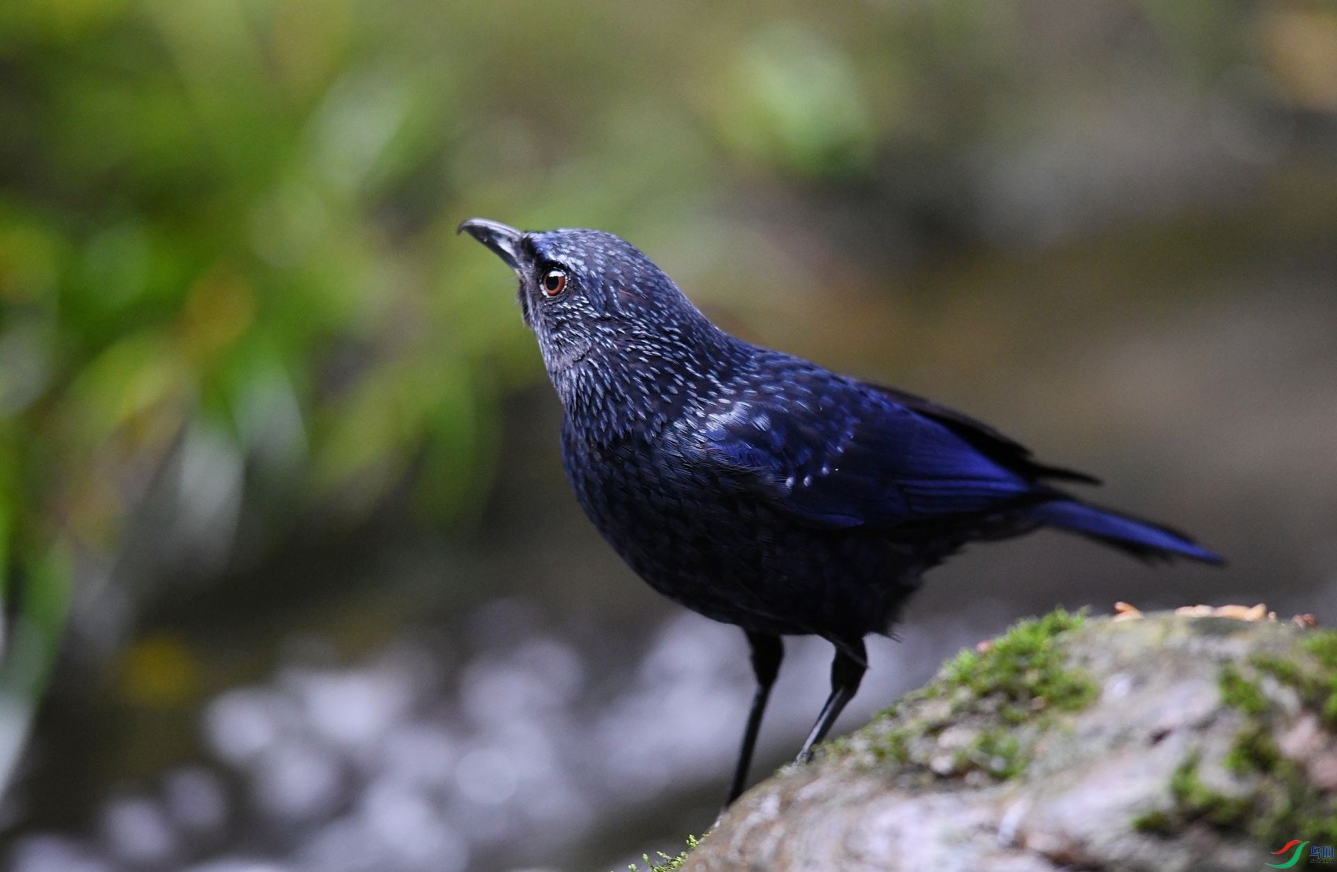 DSC_1133.jpg