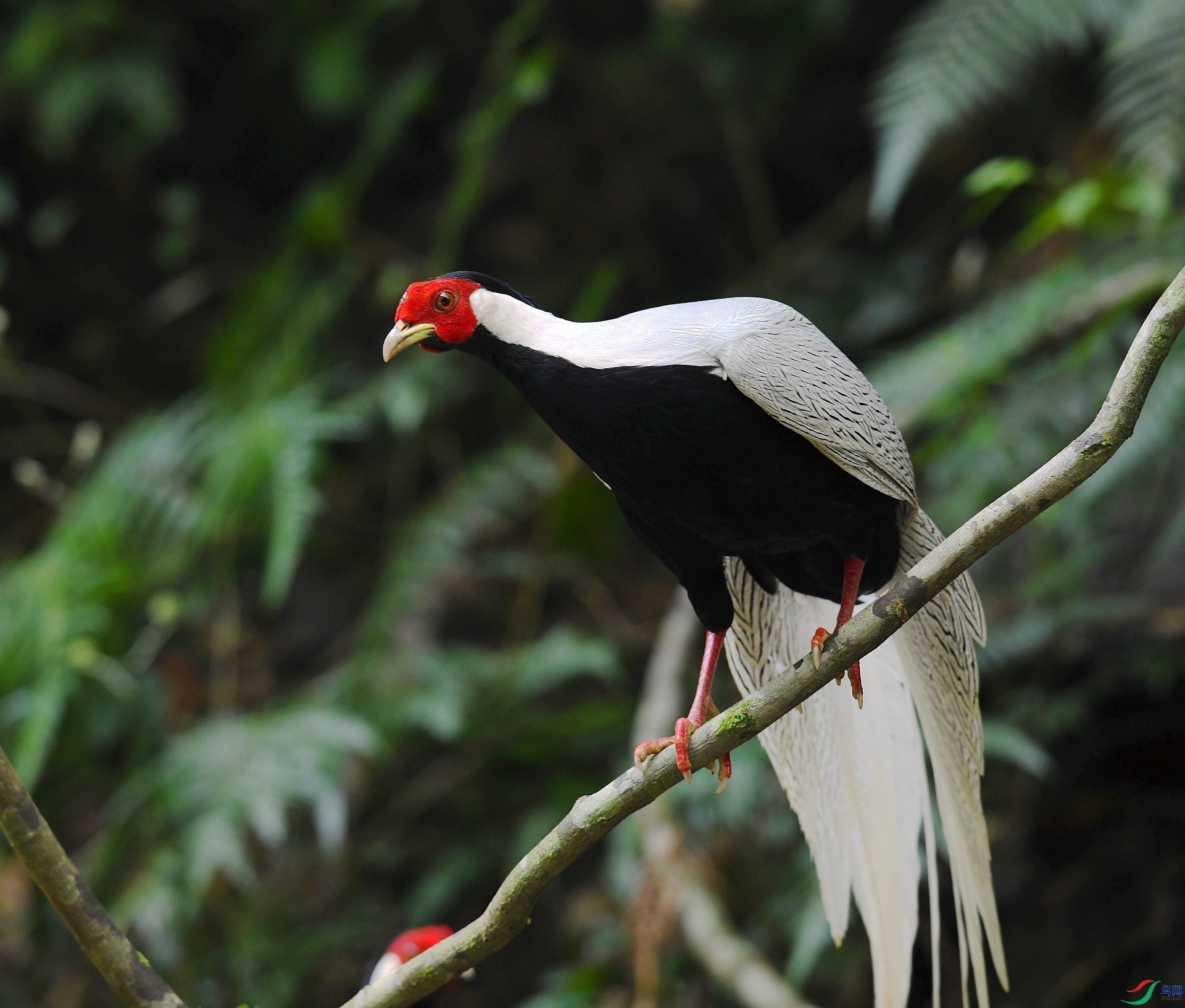 DSC_5945.jpg