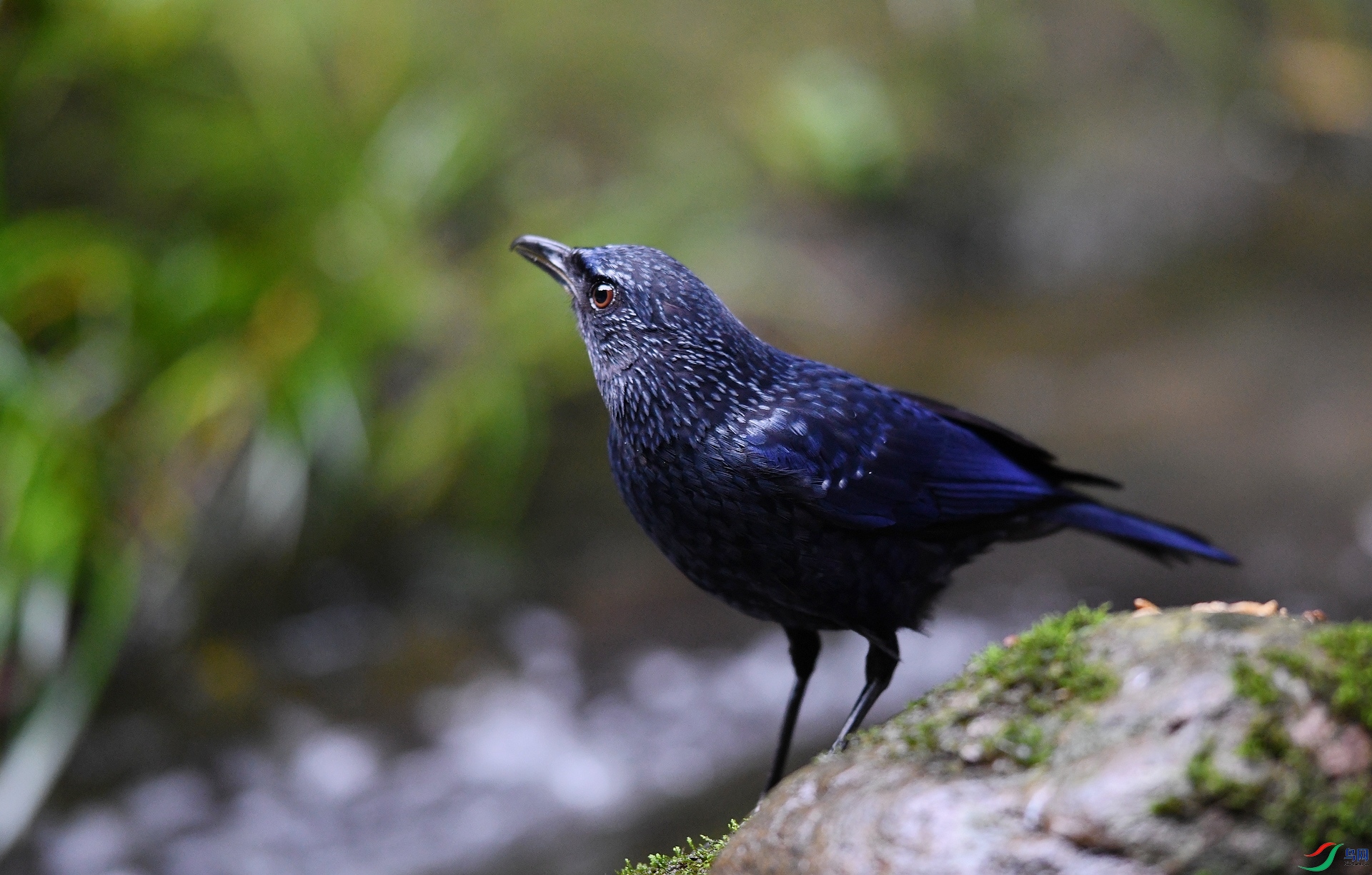 DSC_1134.jpg