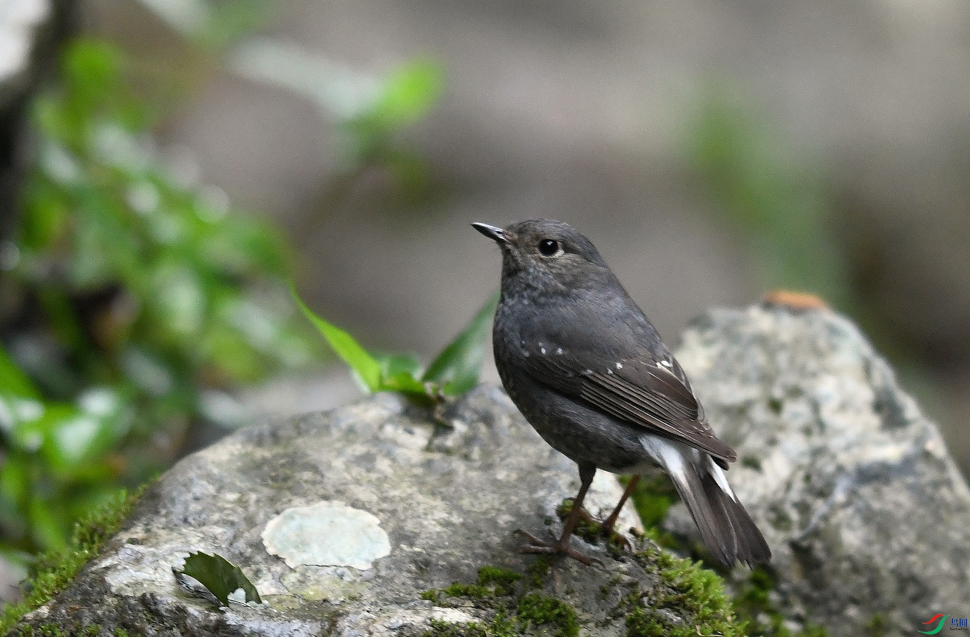 DSC_1152.jpg