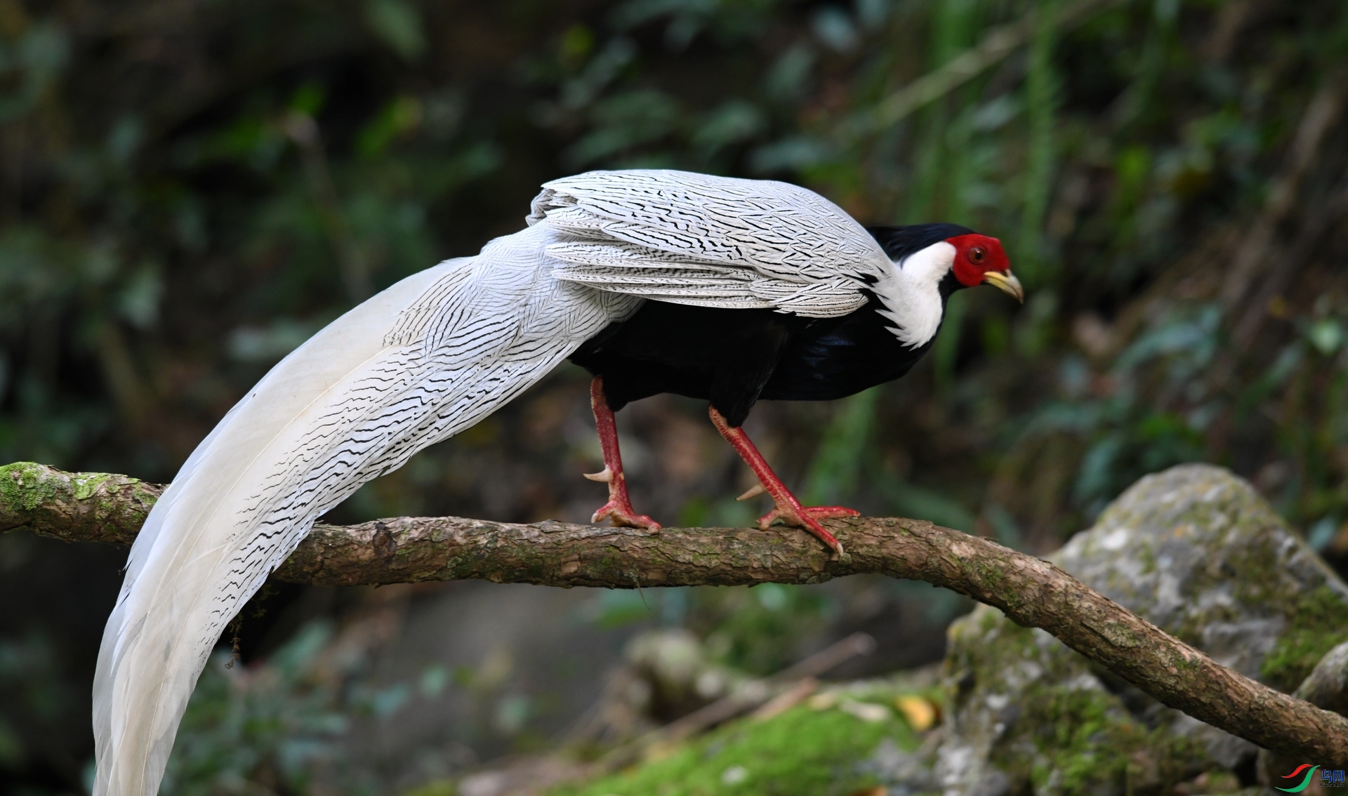 DSC_5341.jpg