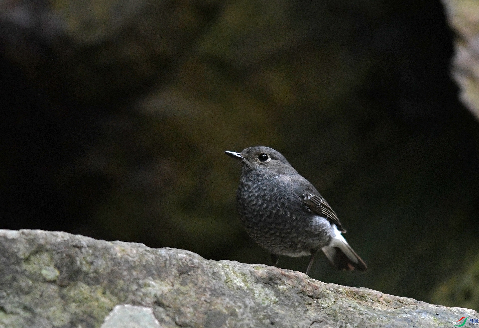 DSC_1158.jpg