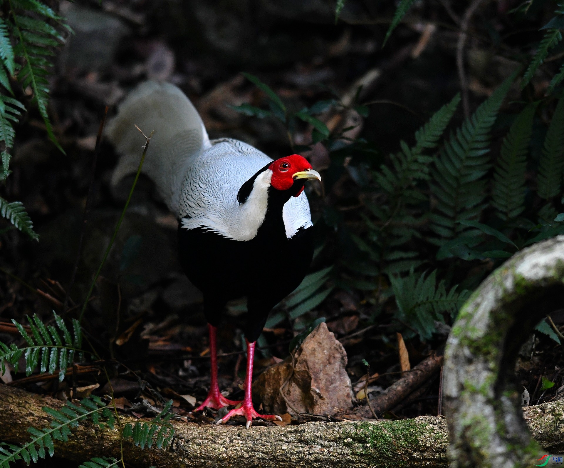 DSC_8355.jpg