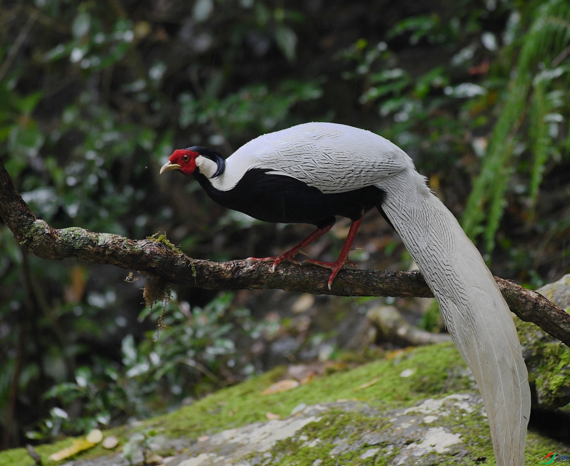 DSC_8357.jpg