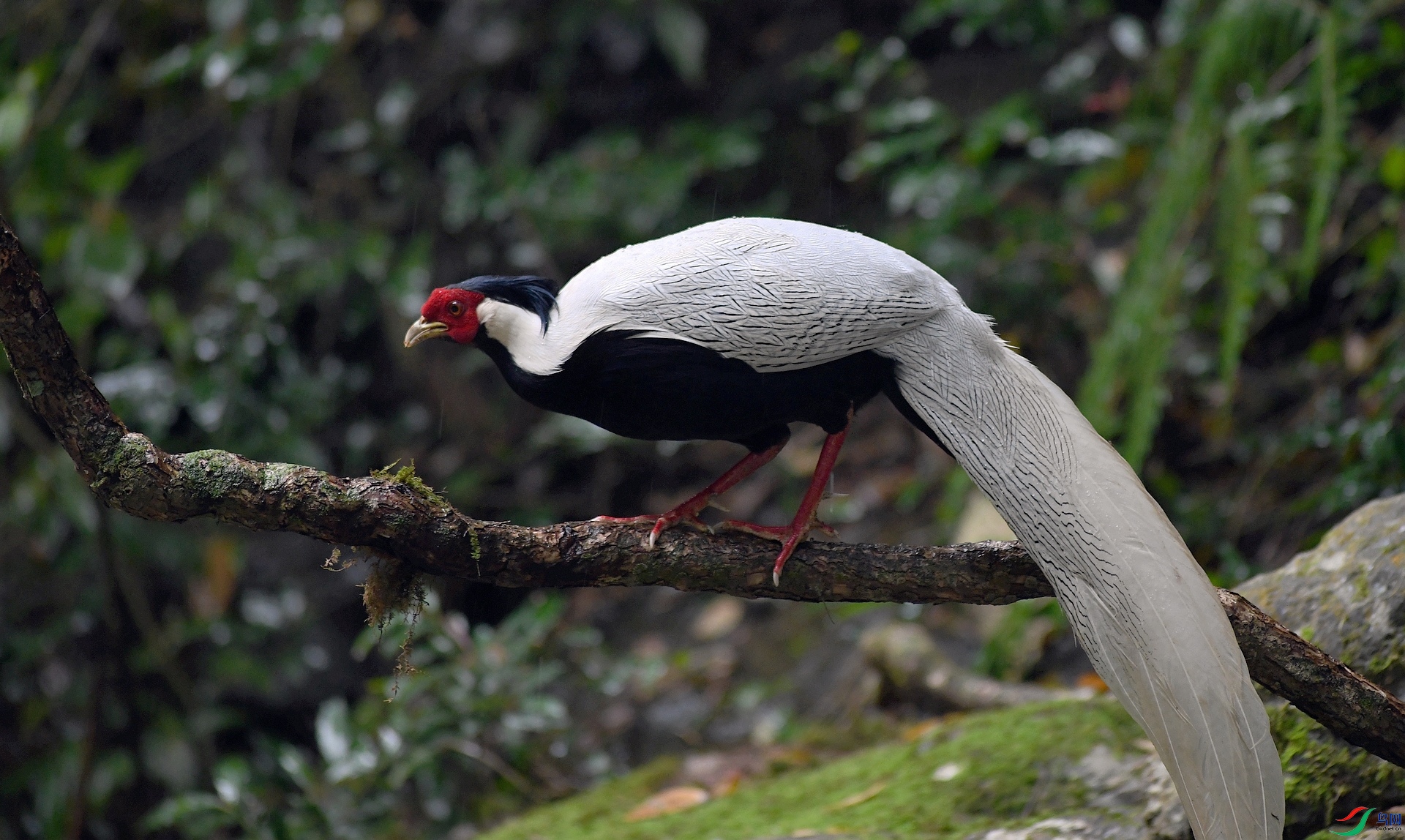 DSC_8351.jpg