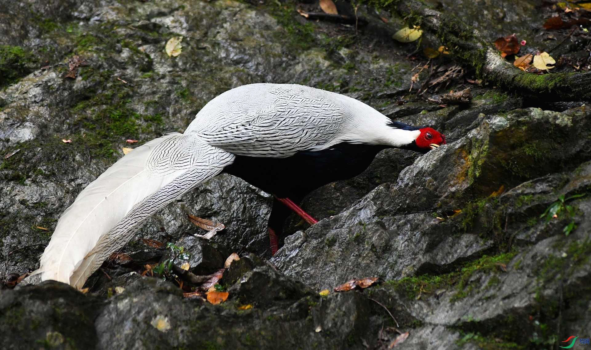 DSC_8440.jpg