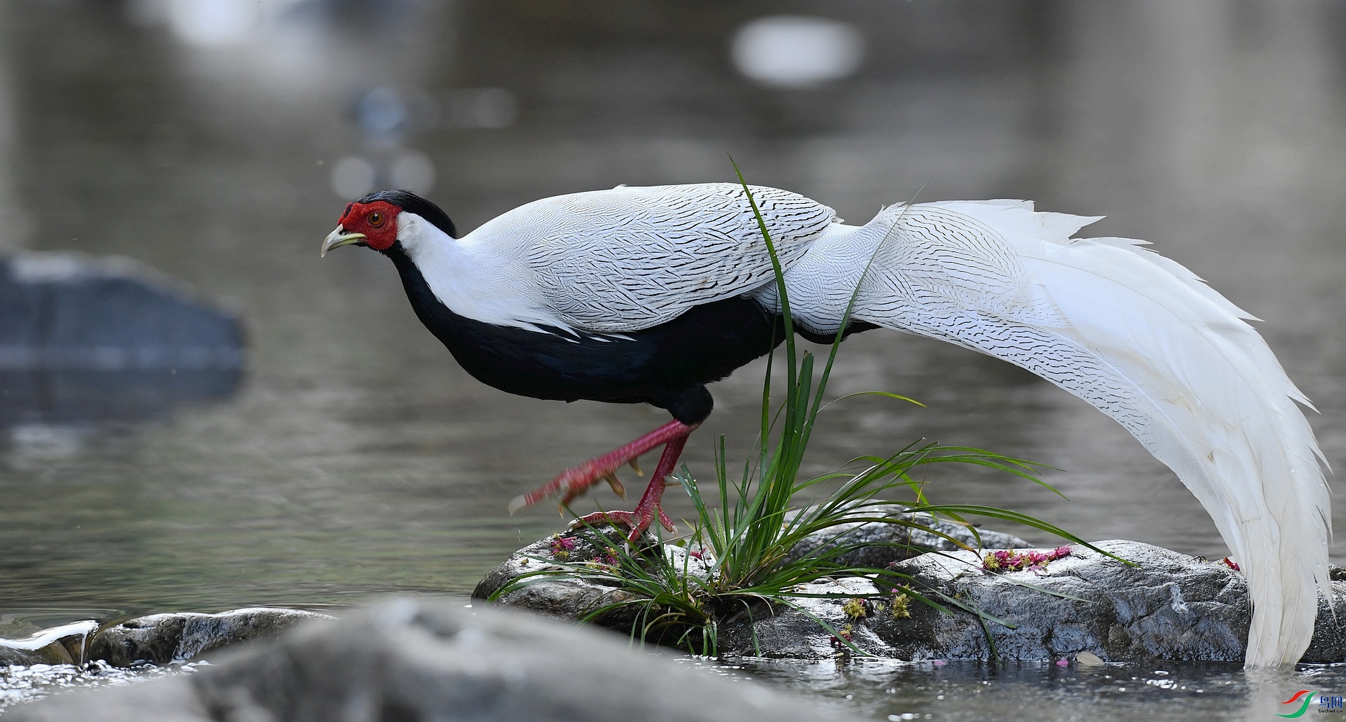 DSC_8516.jpg