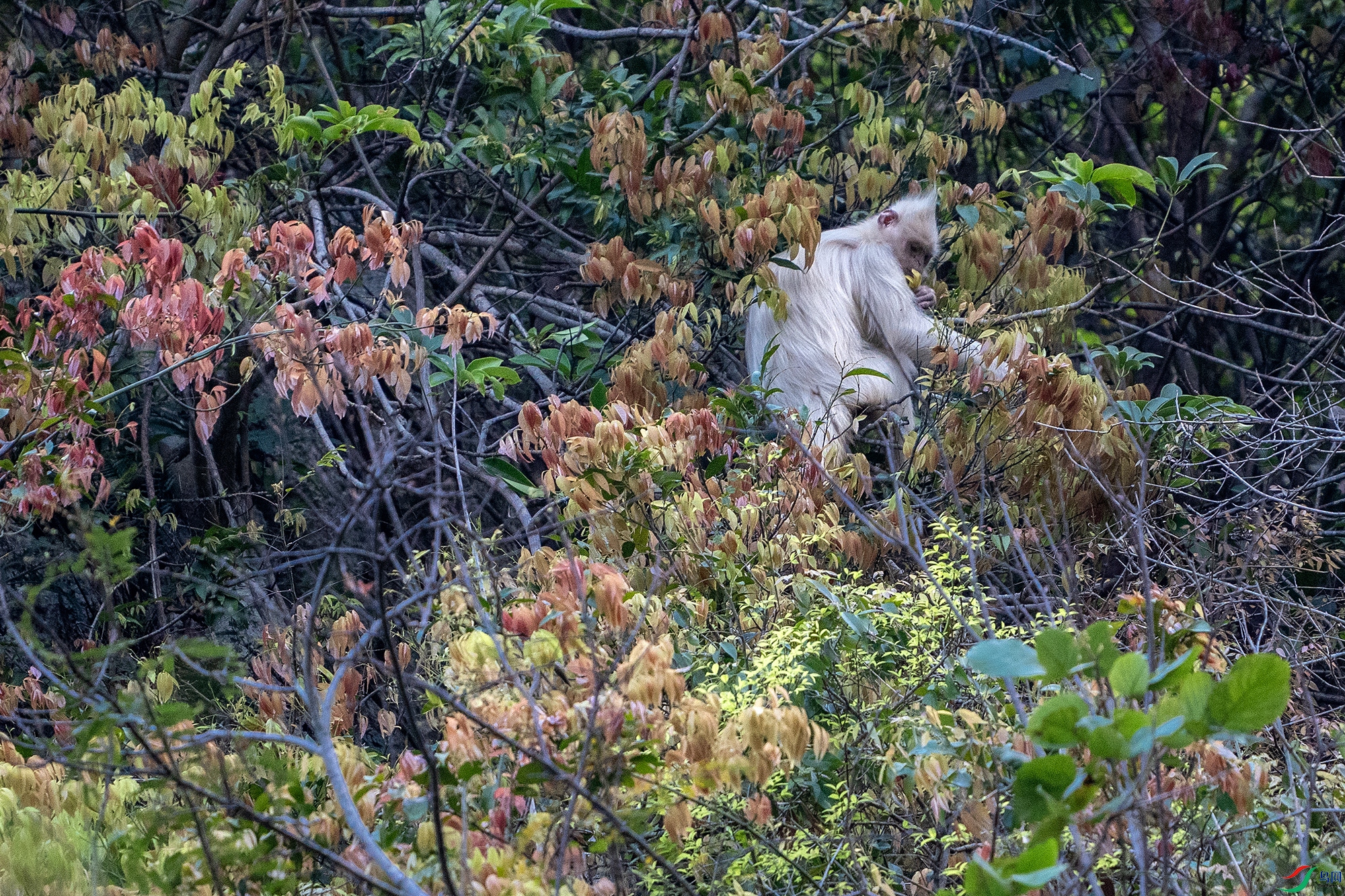 DSC06771 ����a.jpg