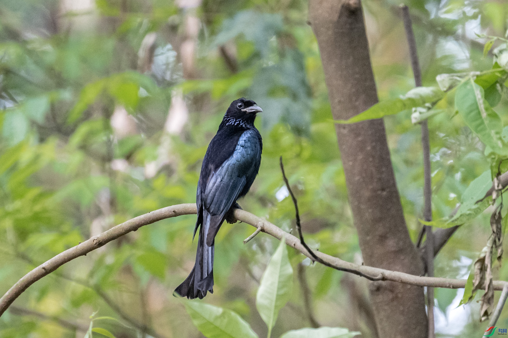 DSC_9612.jpg
