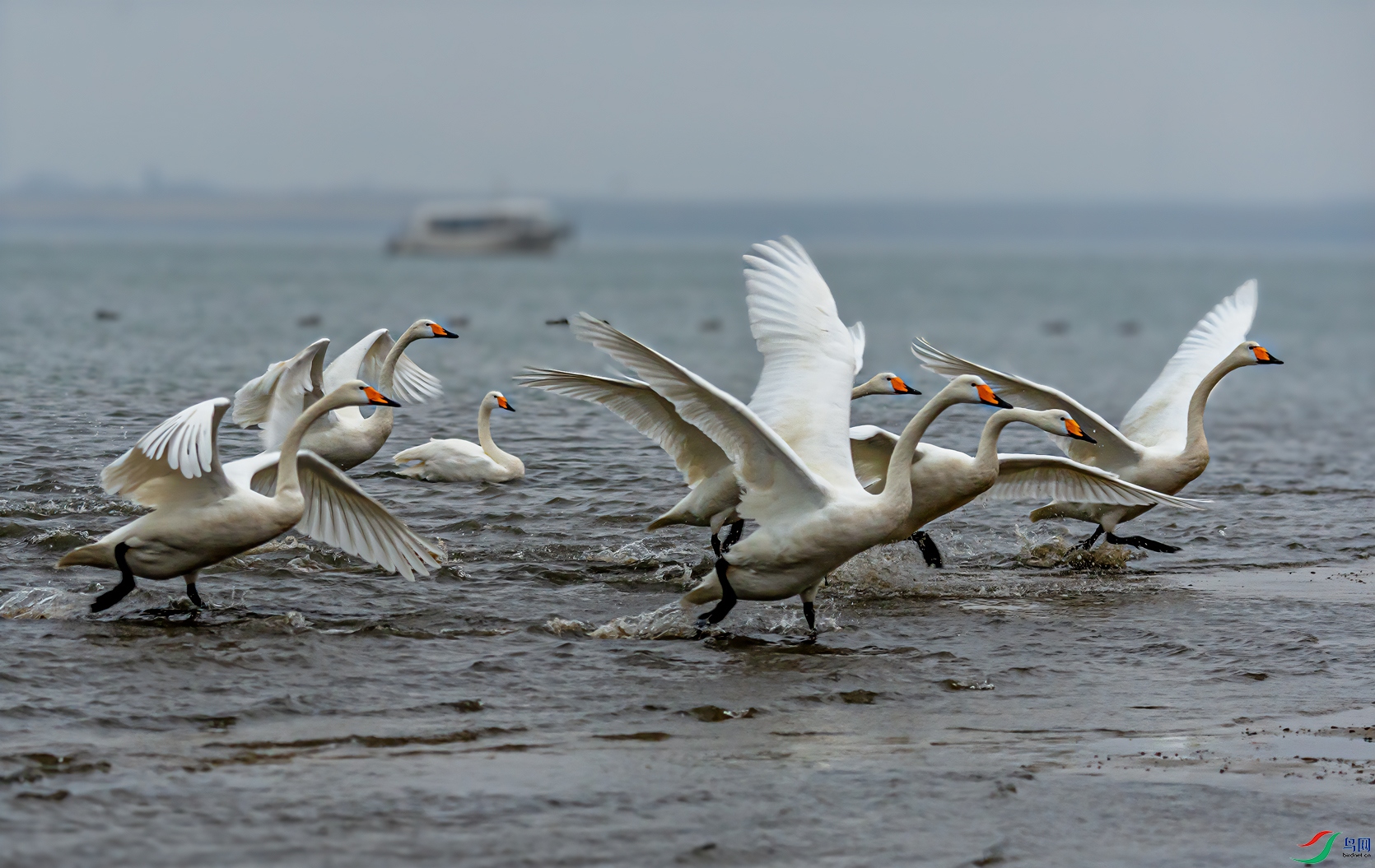 _DSC3270-11.jpg