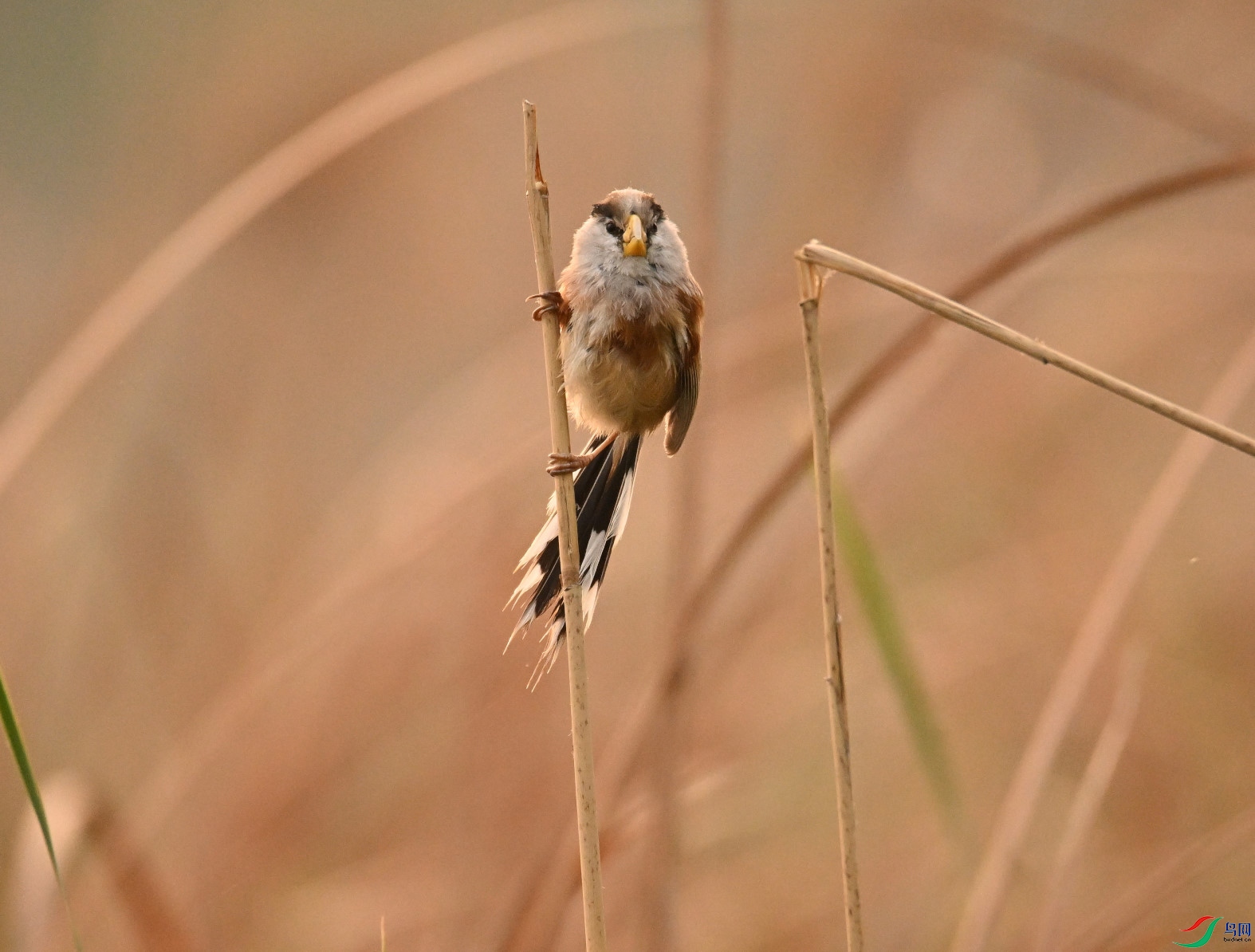 DSC_9015.JPG