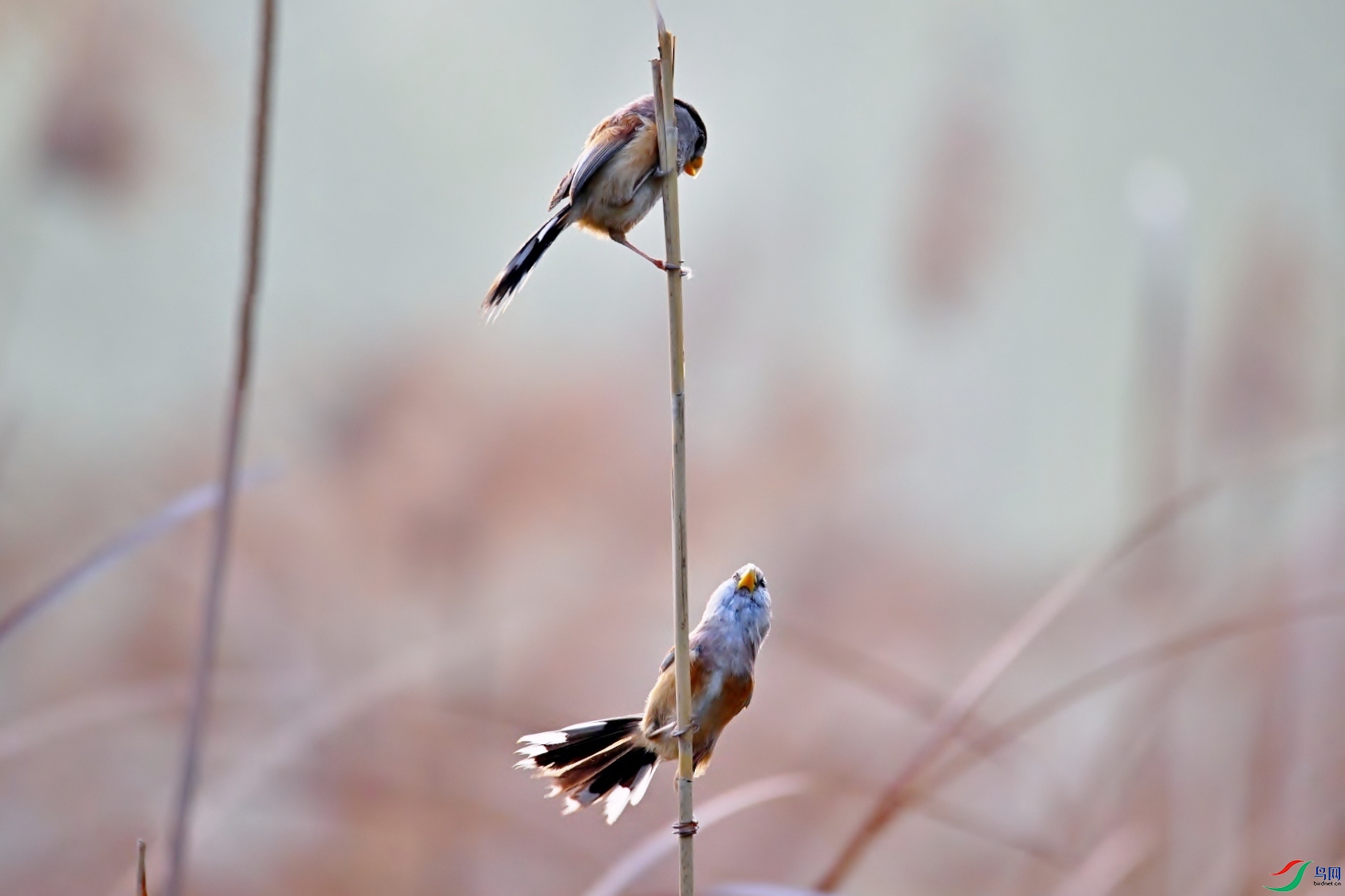 DSC_5820.JPG