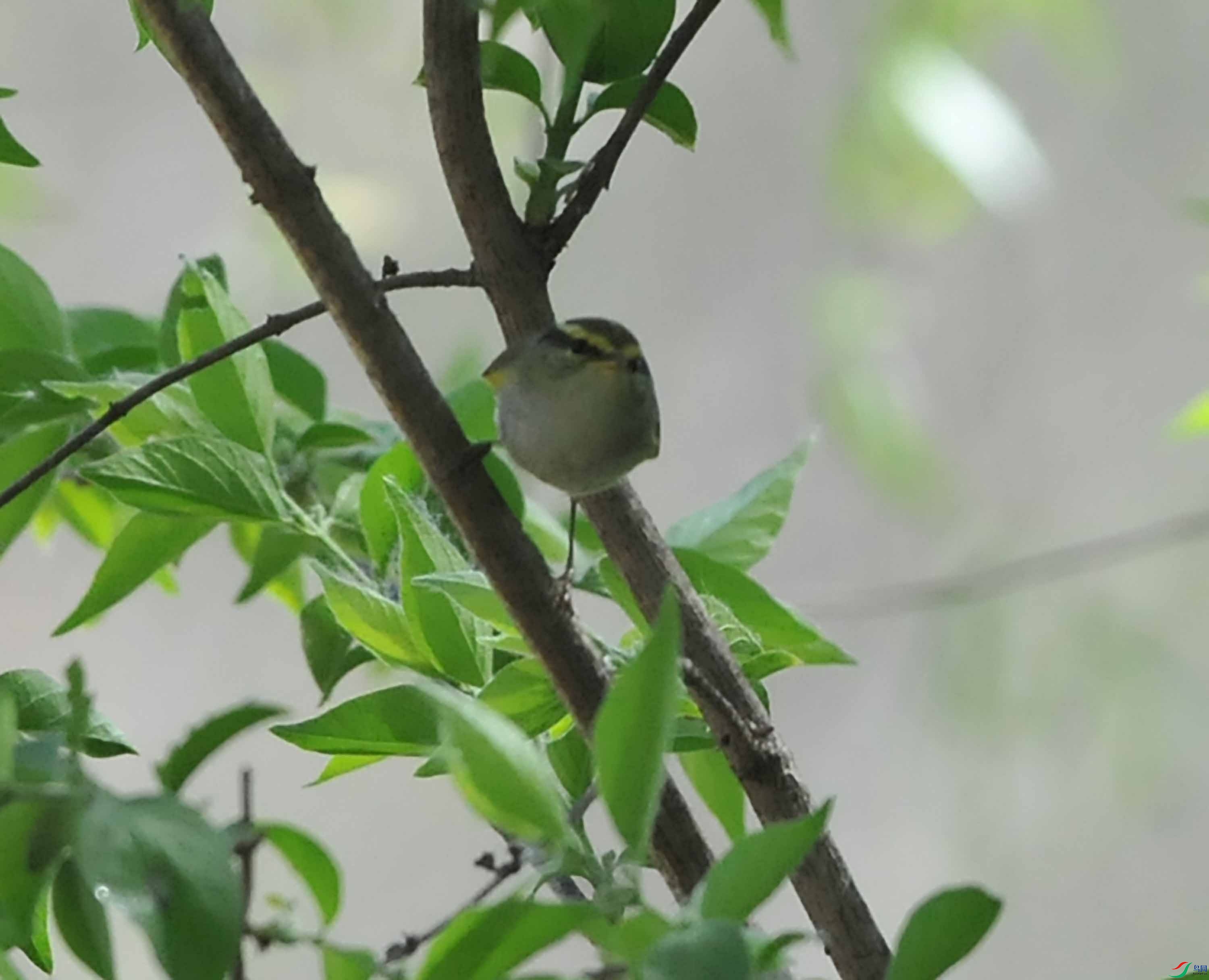 DSC_7389.JPG