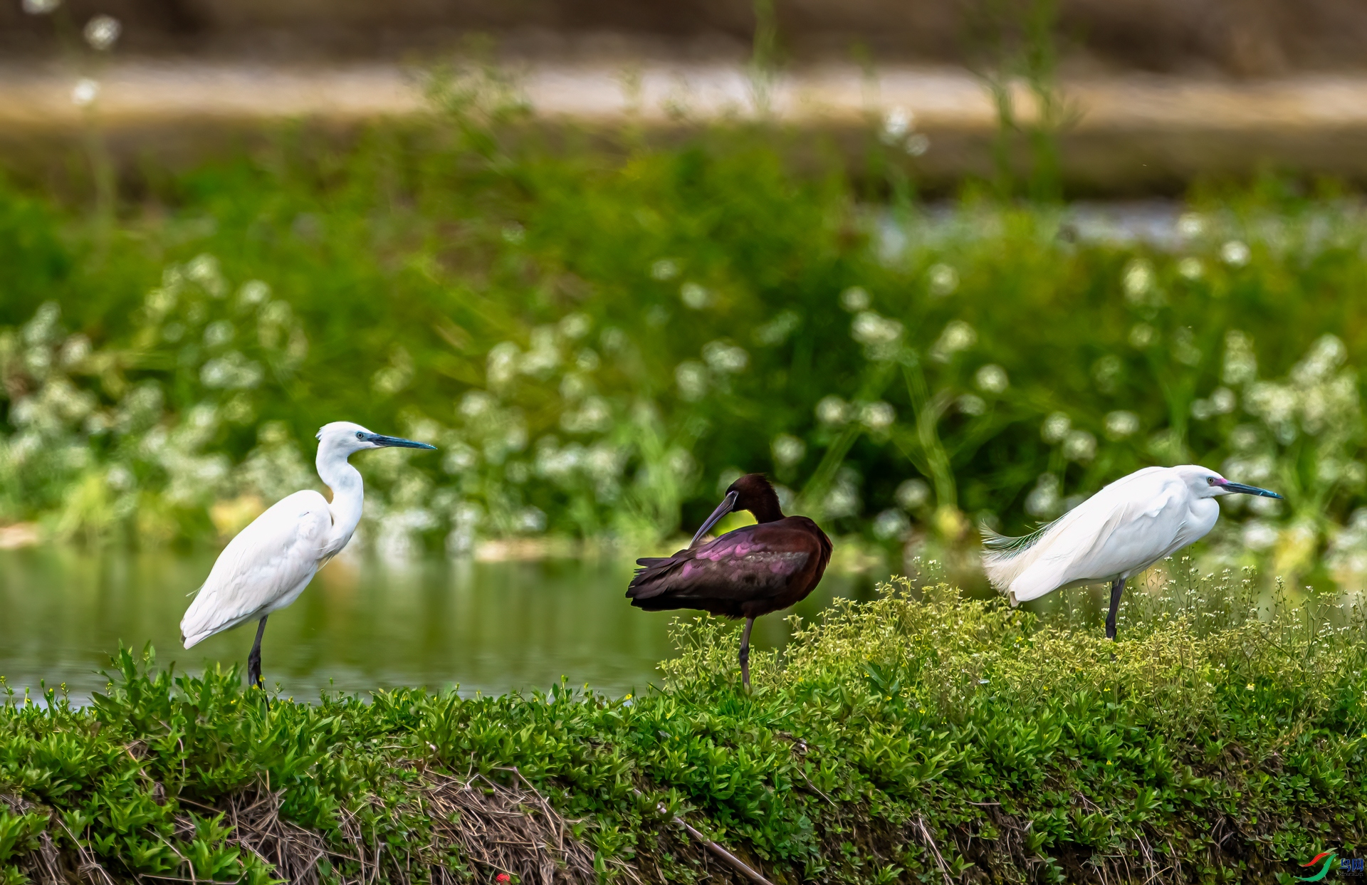 DSC_7859-11.jpg