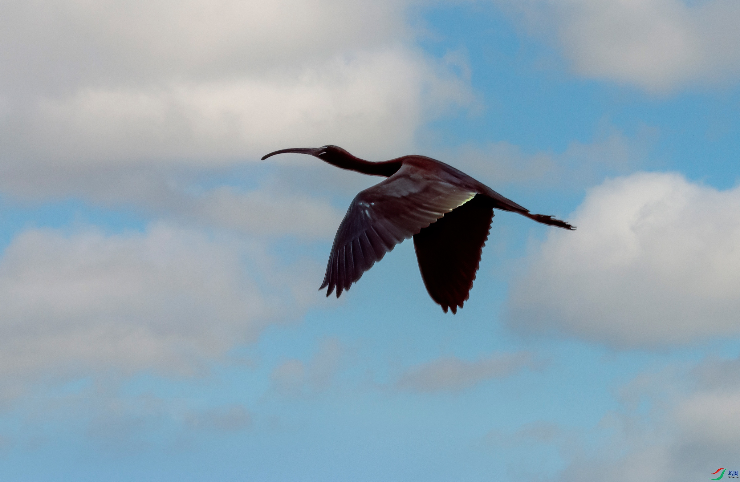 DSC_1132-11.jpg