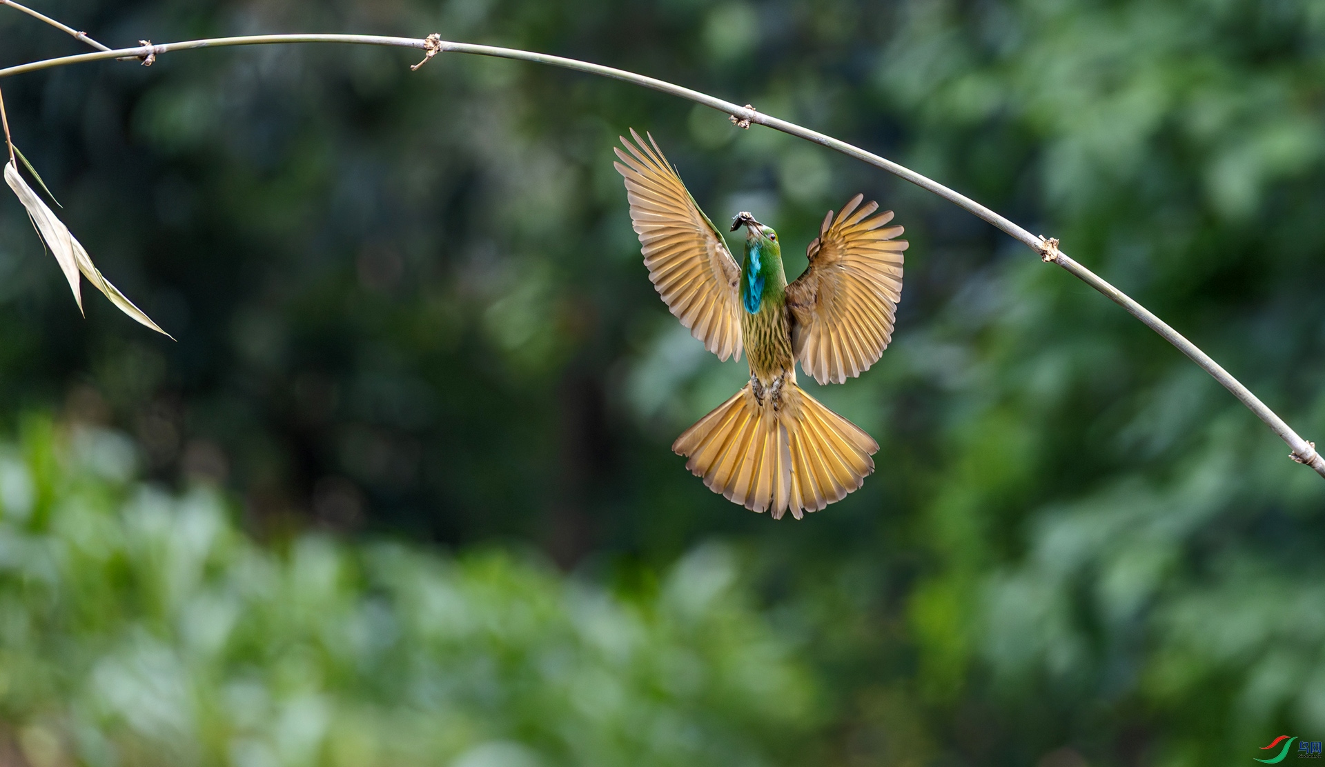 6I9207 ����.jpg