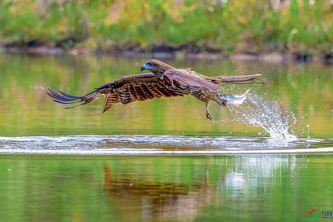 DSC_7633b.jpg