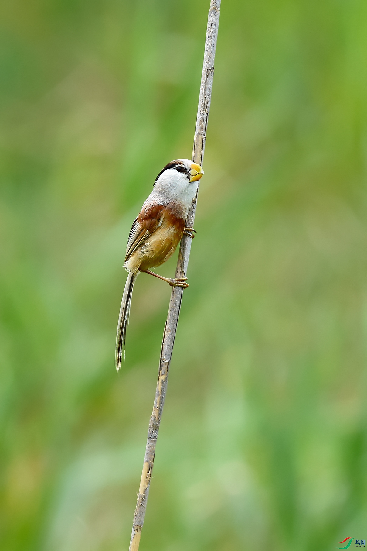 DSC_4088_DxOa.jpg