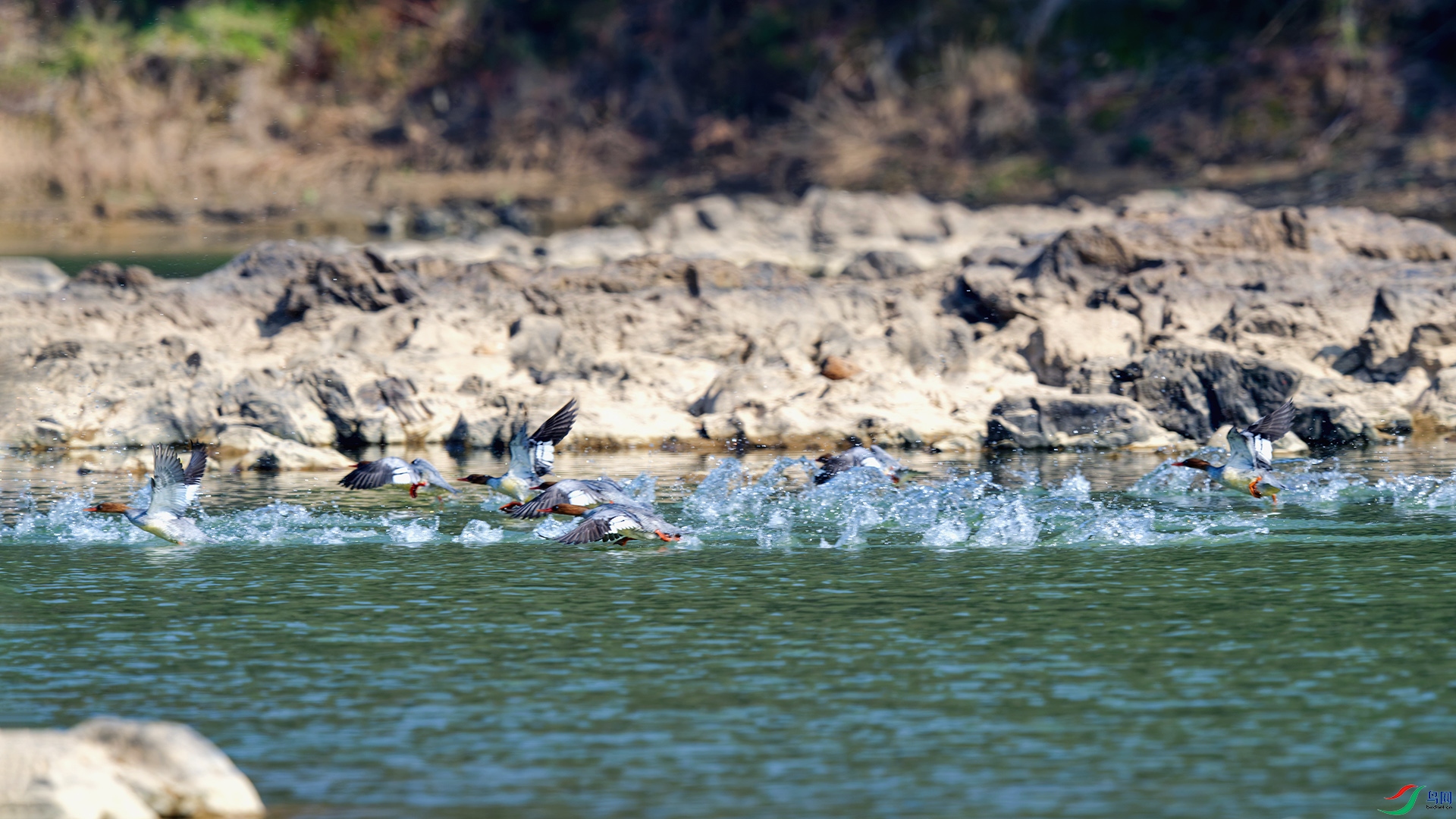 3DSC_7990_DxO_DxOa.jpg