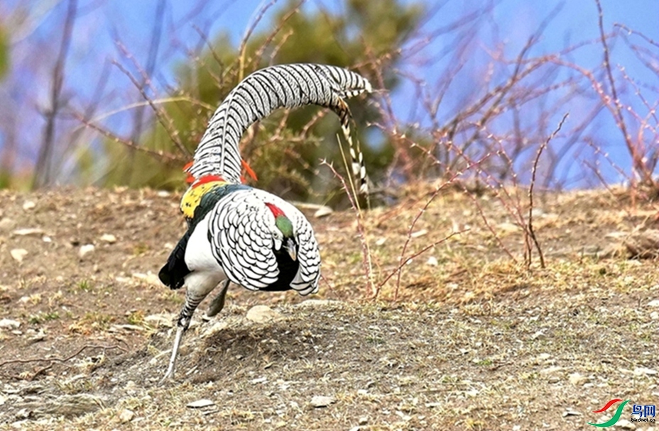 ��ת�䡣