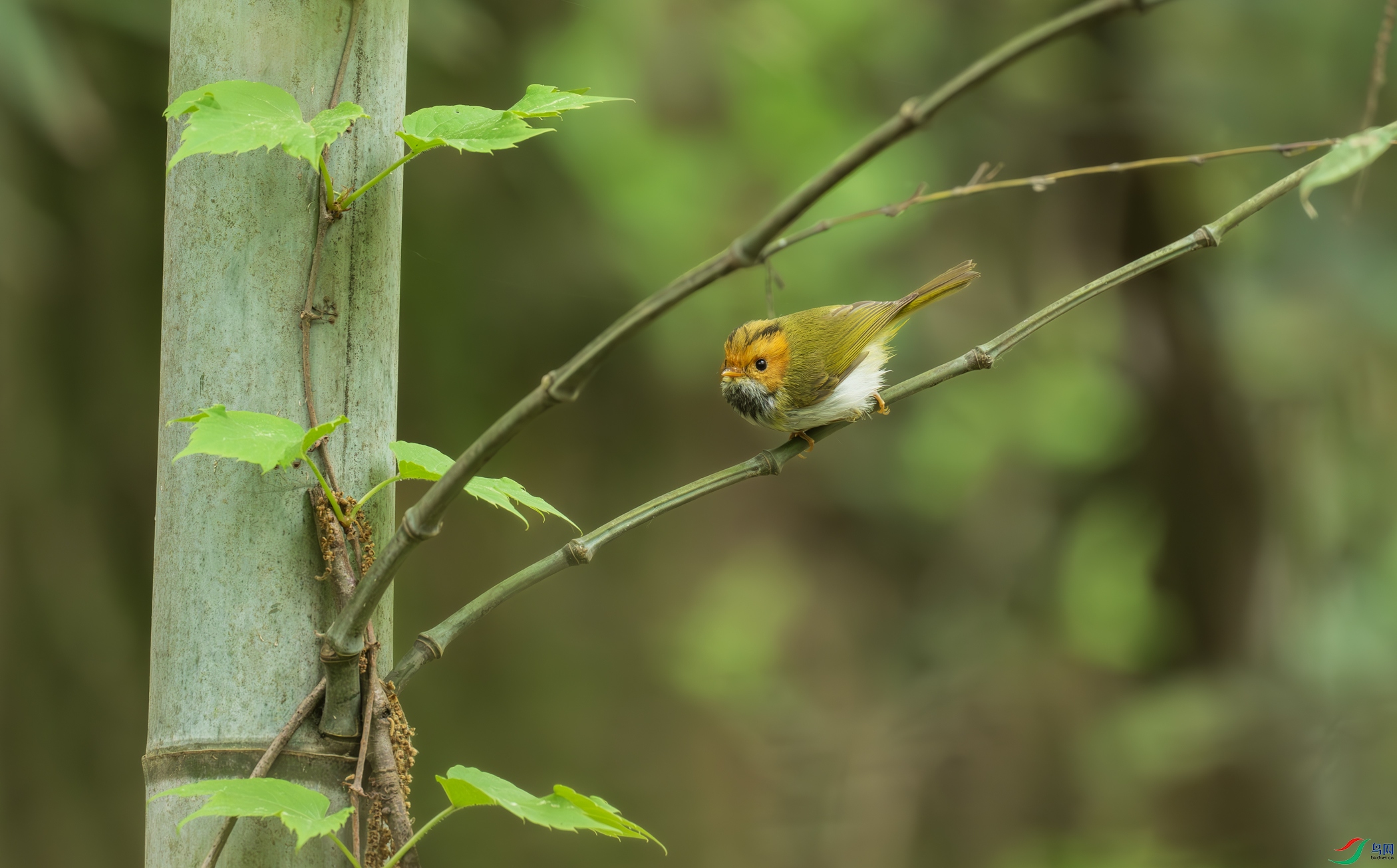 DSC_6417.jpg