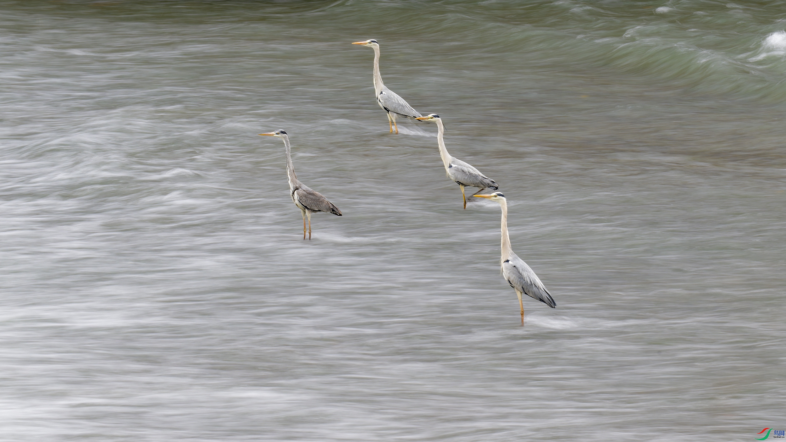 DSC_0466_DxO.jpg
