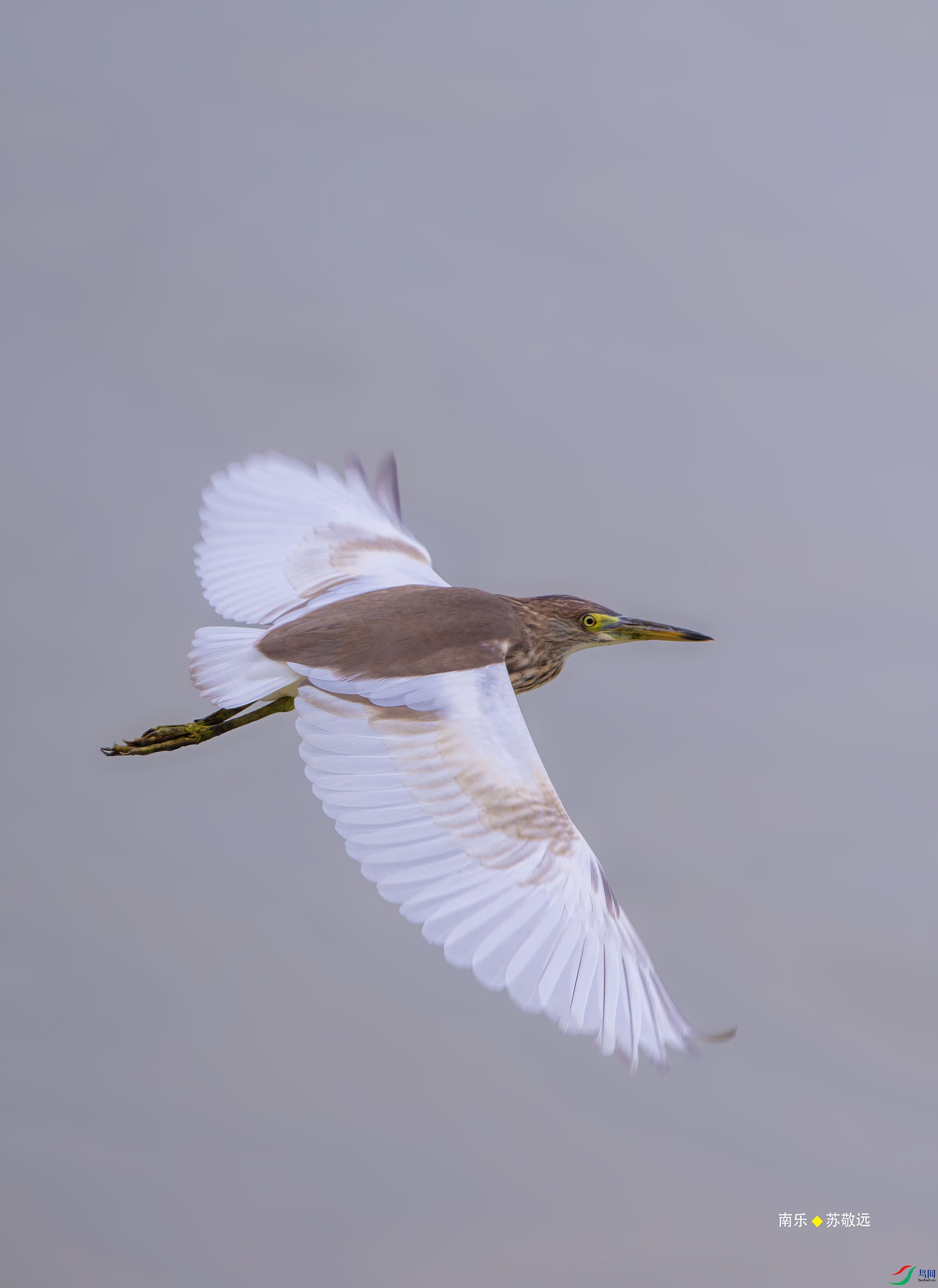 _DSC6495-DxO_С.jpg